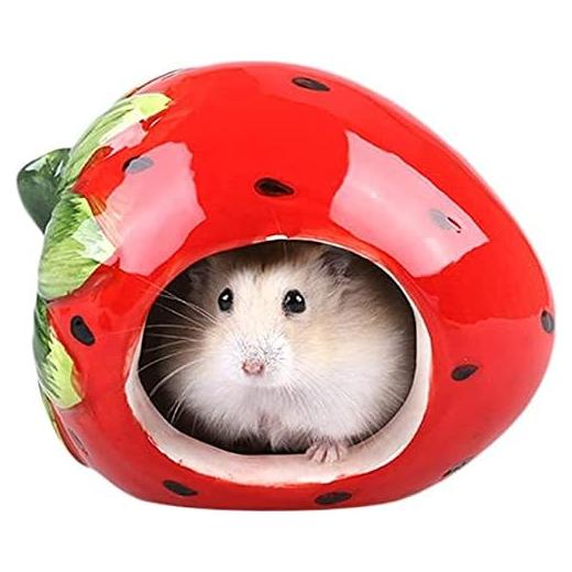 Casa Oculta para Hámsteres Cerámica WNZQK 9.14x12.19cm