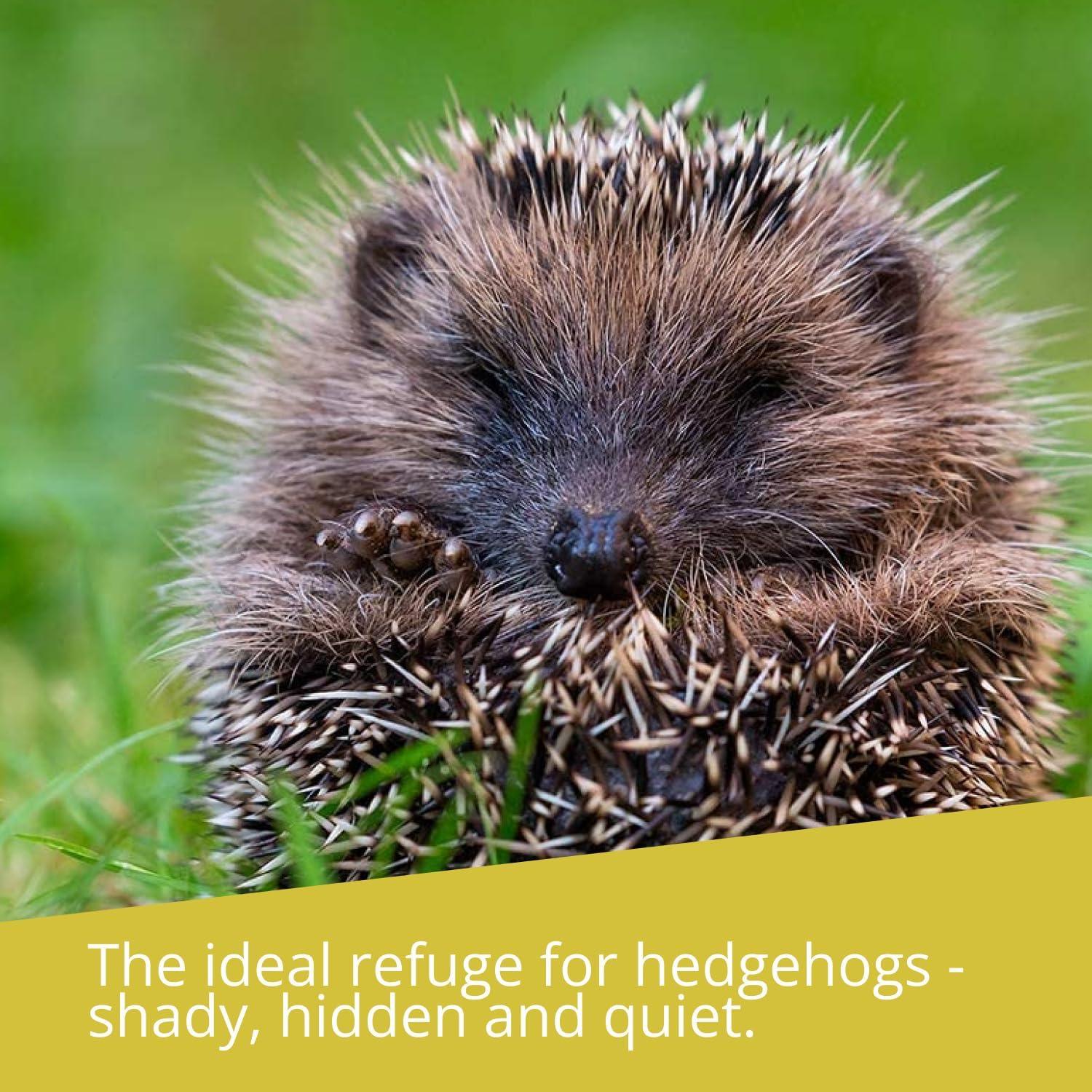 Casa de Erizo Görges Markenwelt - Refugio de Madera 40x40x19 cm