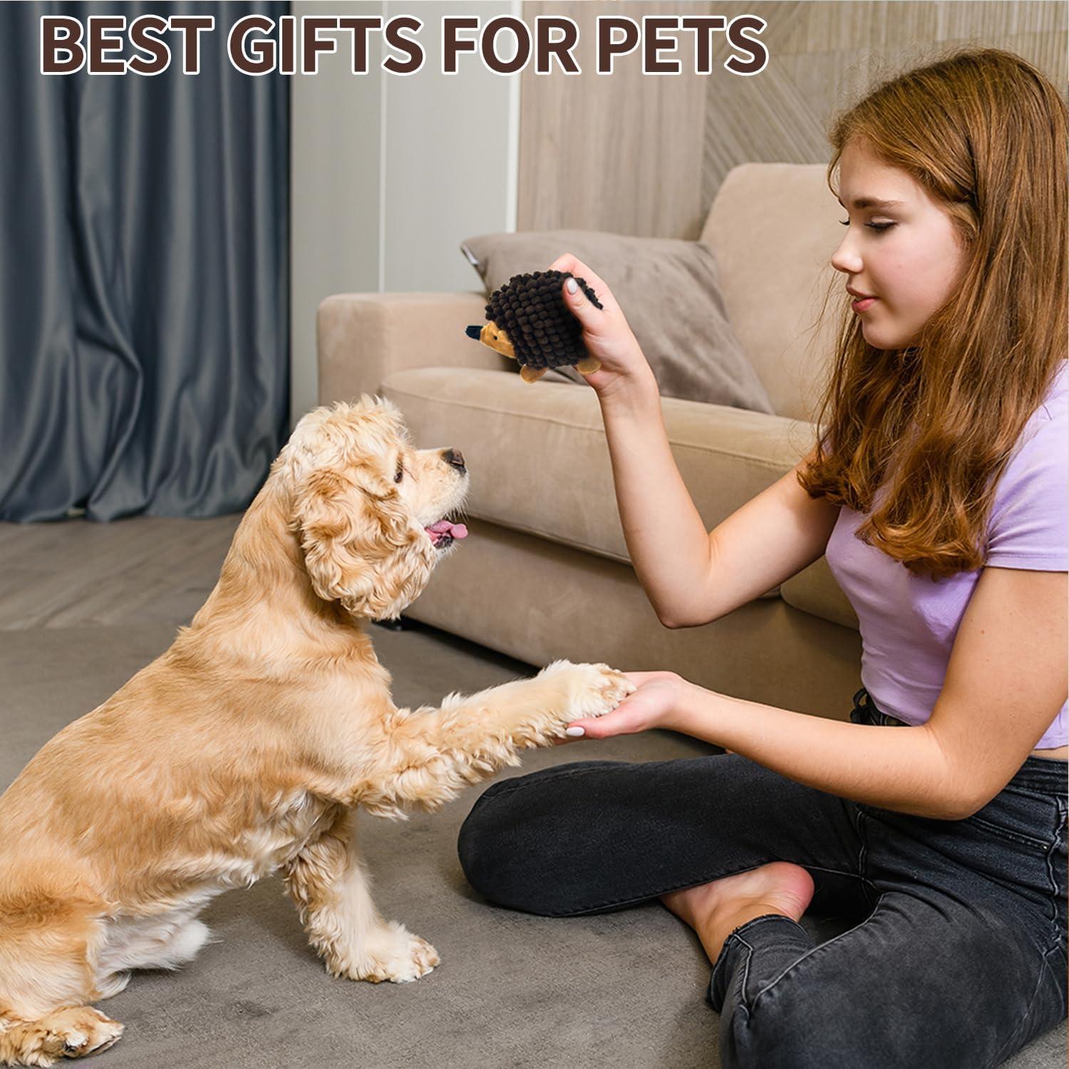 Juguetes de perro erizo de felpa Chongqile 3 PCS chirriantes