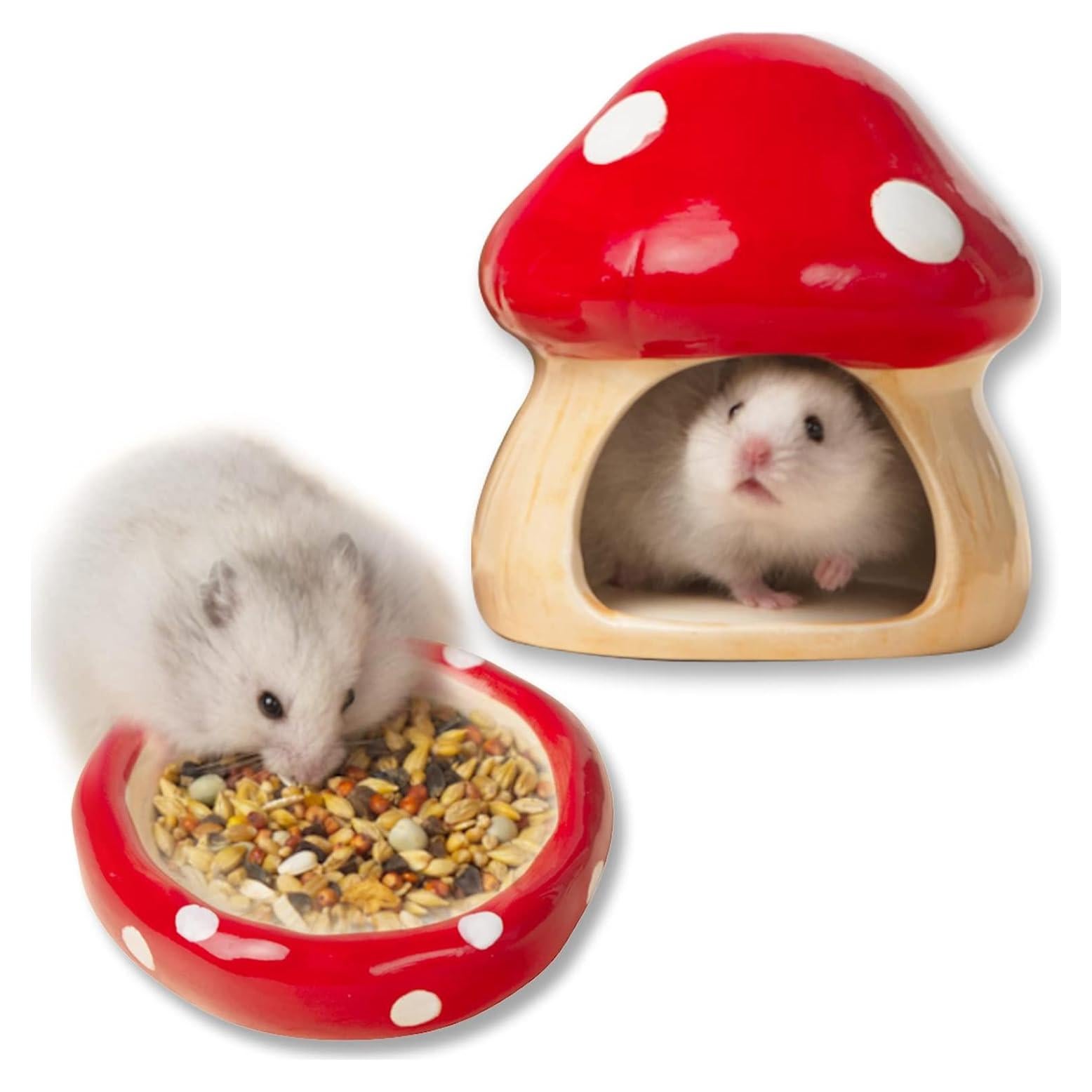 Casa de Cerámica en Forma de Hongo para Hámster y Cobayas