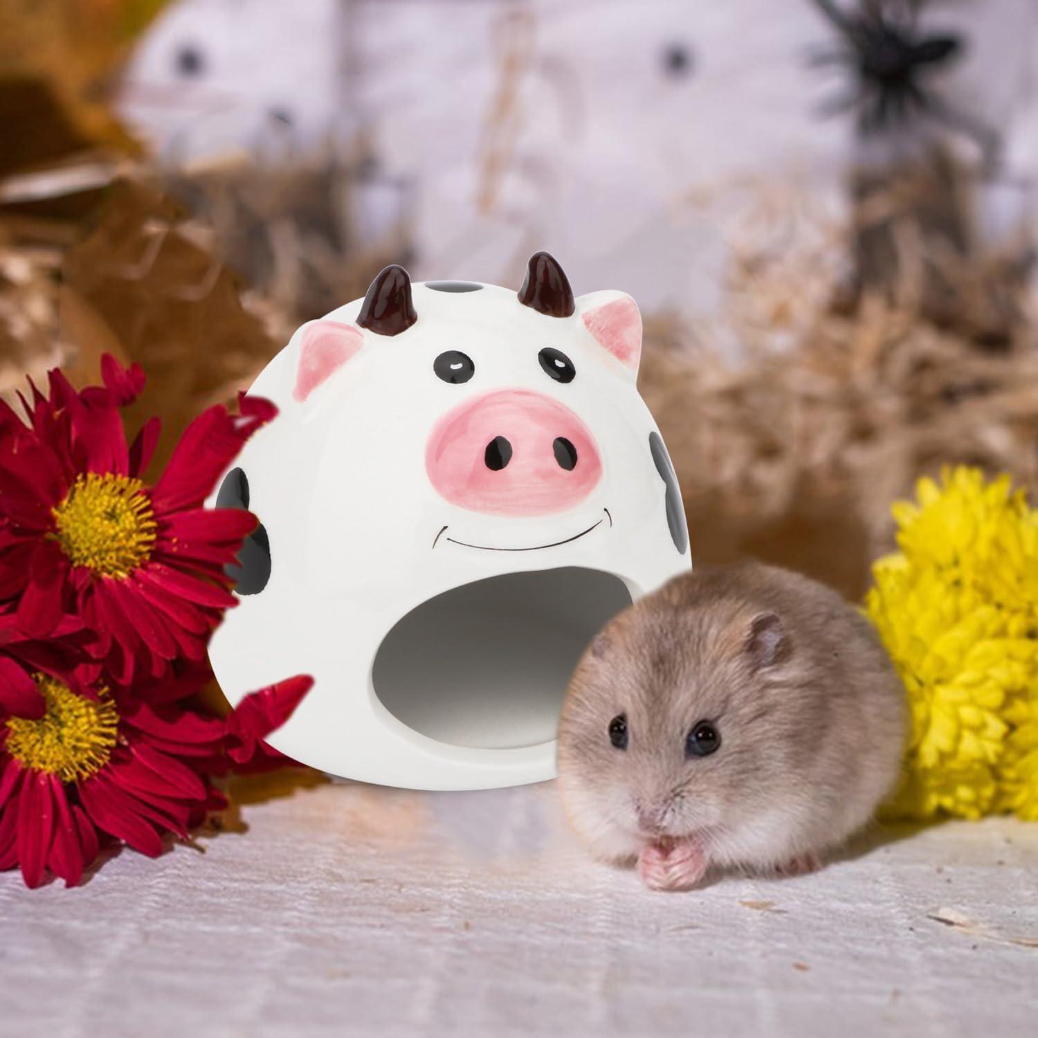 Casa de Cerámica para Hámsters enanos Hypeety 16.8x12.2cm