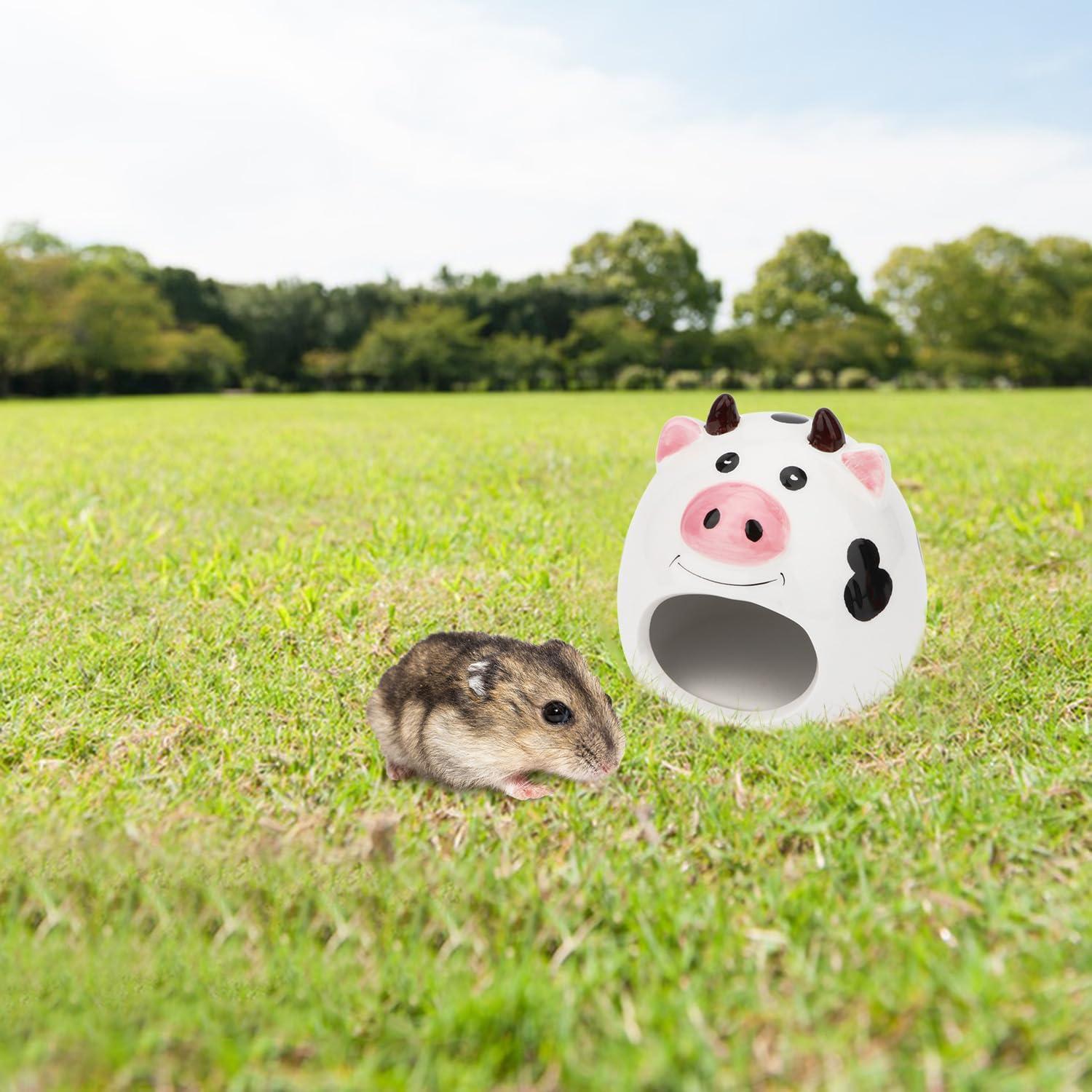 Casa de Cerámica para Hámsters enanos Hypeety 16.8x12.2cm