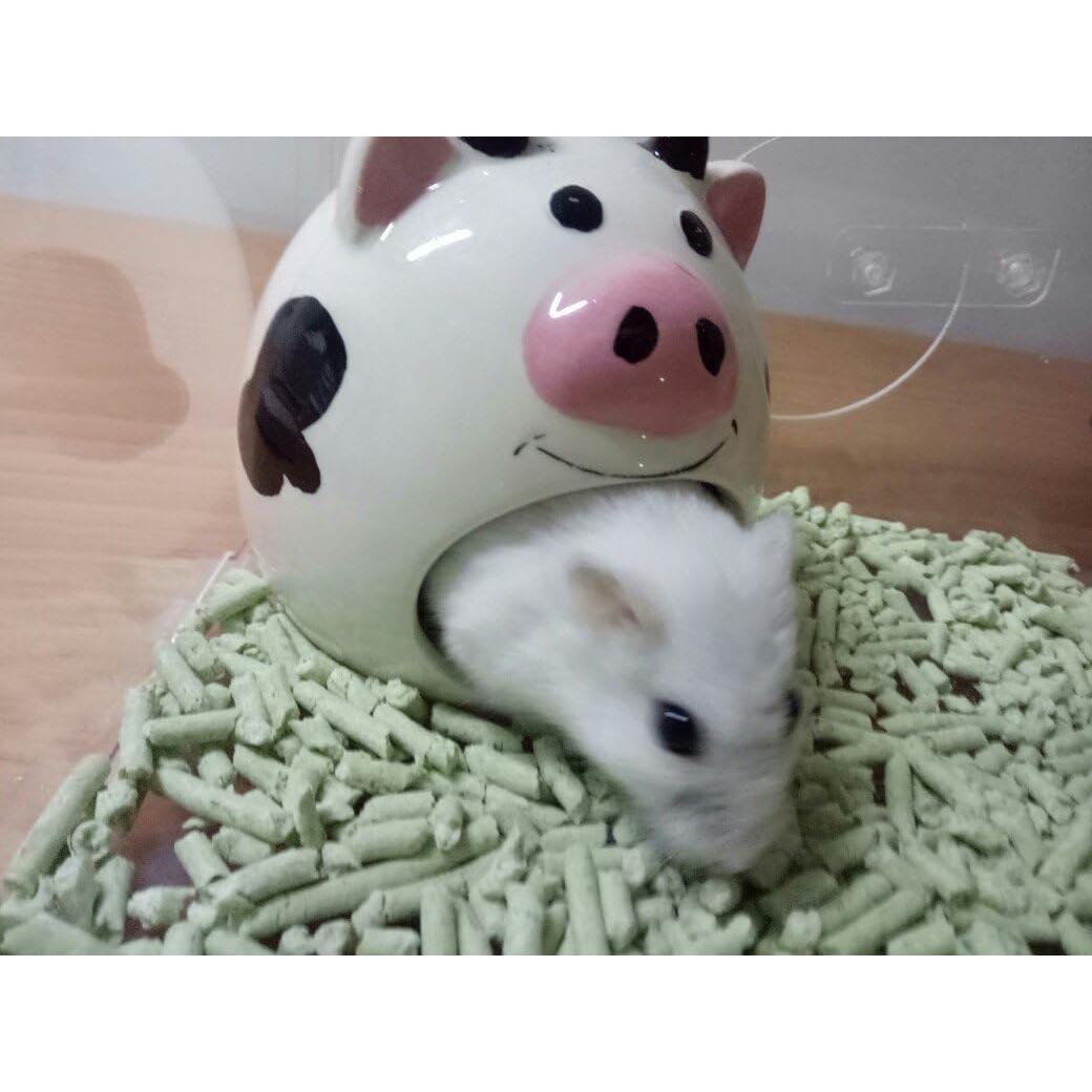 Casa de Cerámica para Hámsters enanos Hypeety 16.8x12.2cm