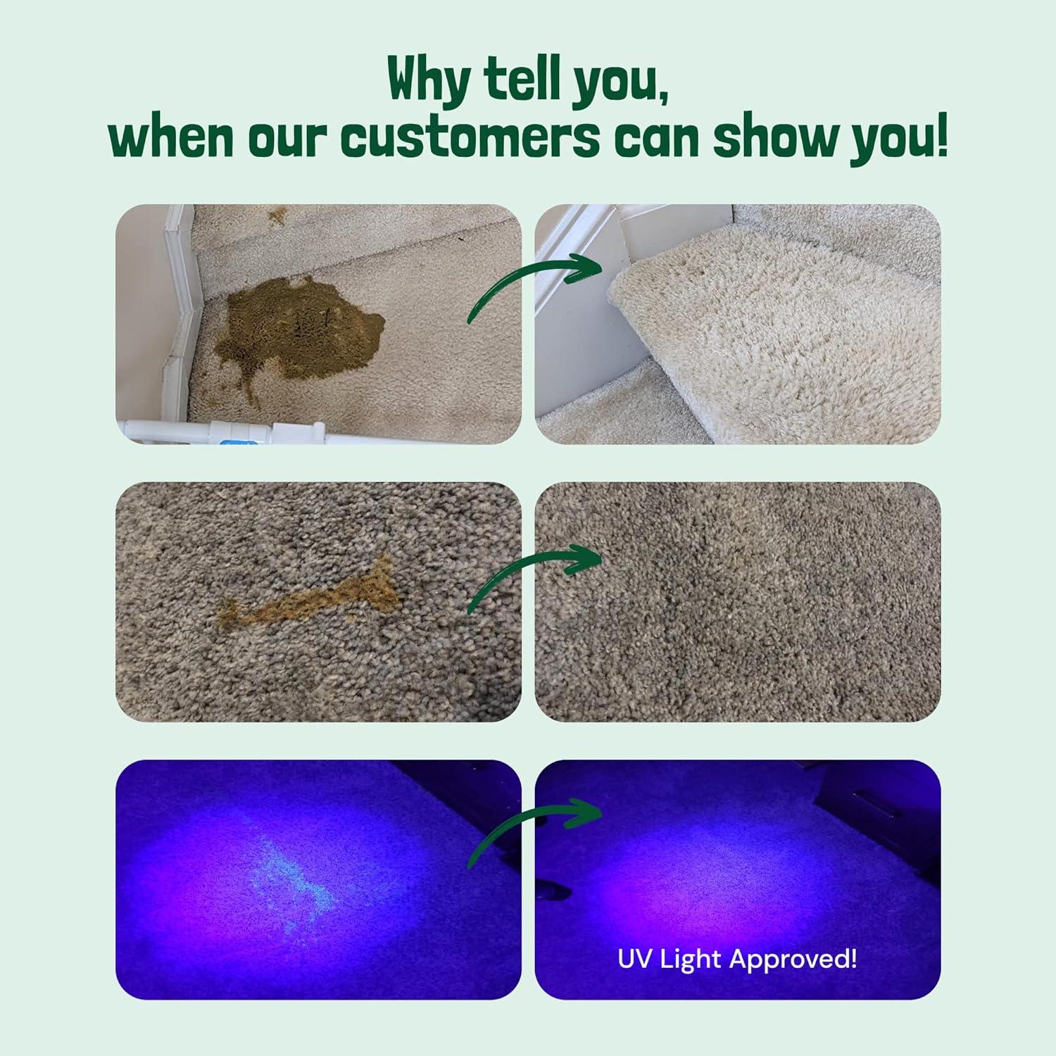 Limpiador Enzimático Sunny & Honey 32 oz Menta para Mascotas