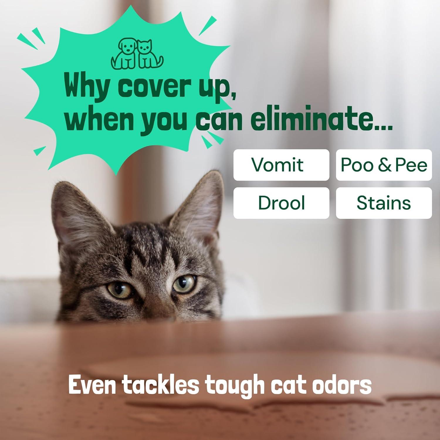 Limpiador Enzimático Sunny & Honey 32 oz Menta para Mascotas