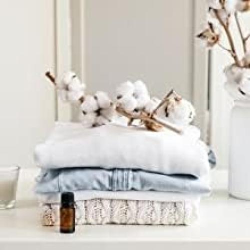 Limpiador Enzimático Multiusos Kleen Free 680g - Listo para Usar