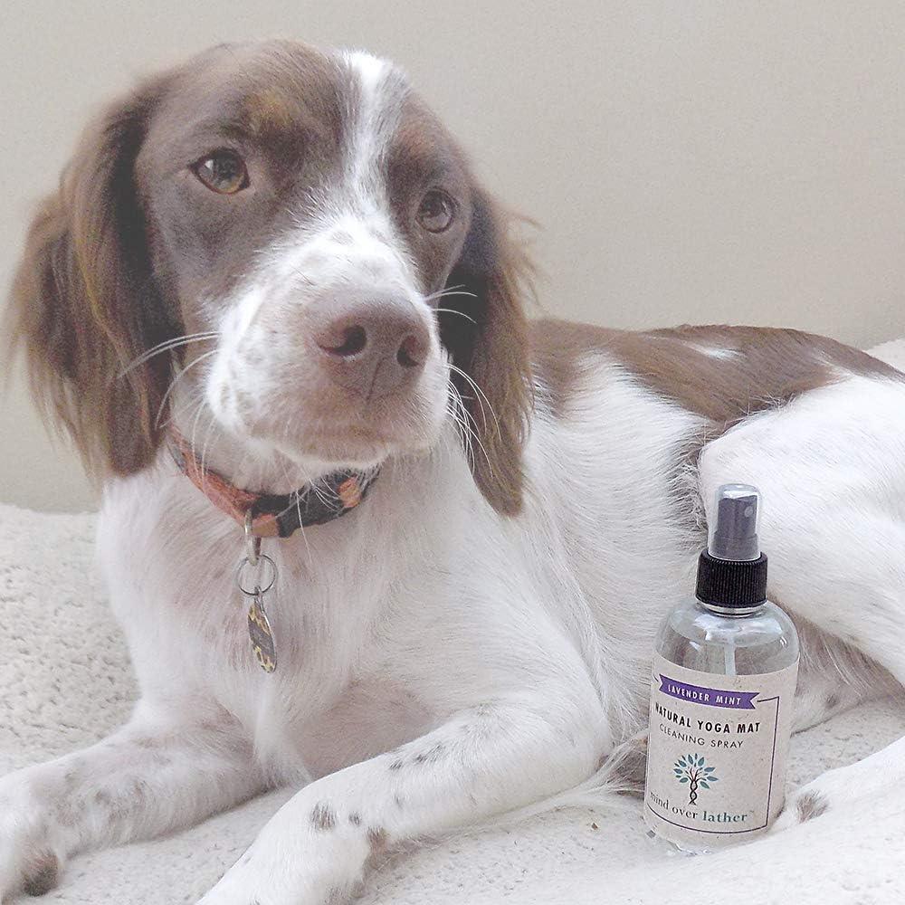 Limpiador de Esteras de Yoga Mind Over Lather 240ml - Lavanda Menta