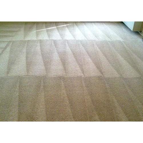 Kit de Limpieza de Alfombra Capture 400 - 1.81 kg, Eliminador de Manchas y Olores