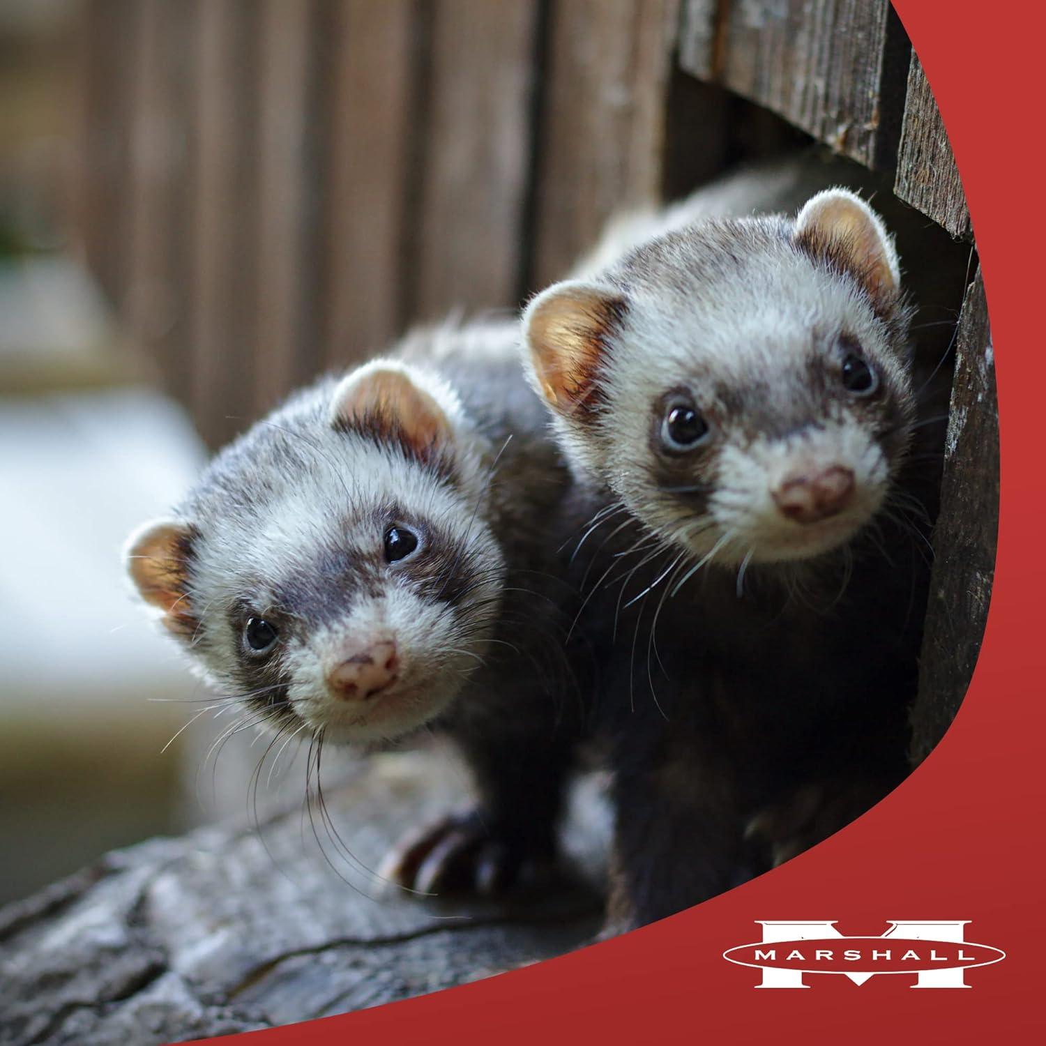 Champú Espumoso Desodorante Marshall Aloe para Hurones 141.75 ml