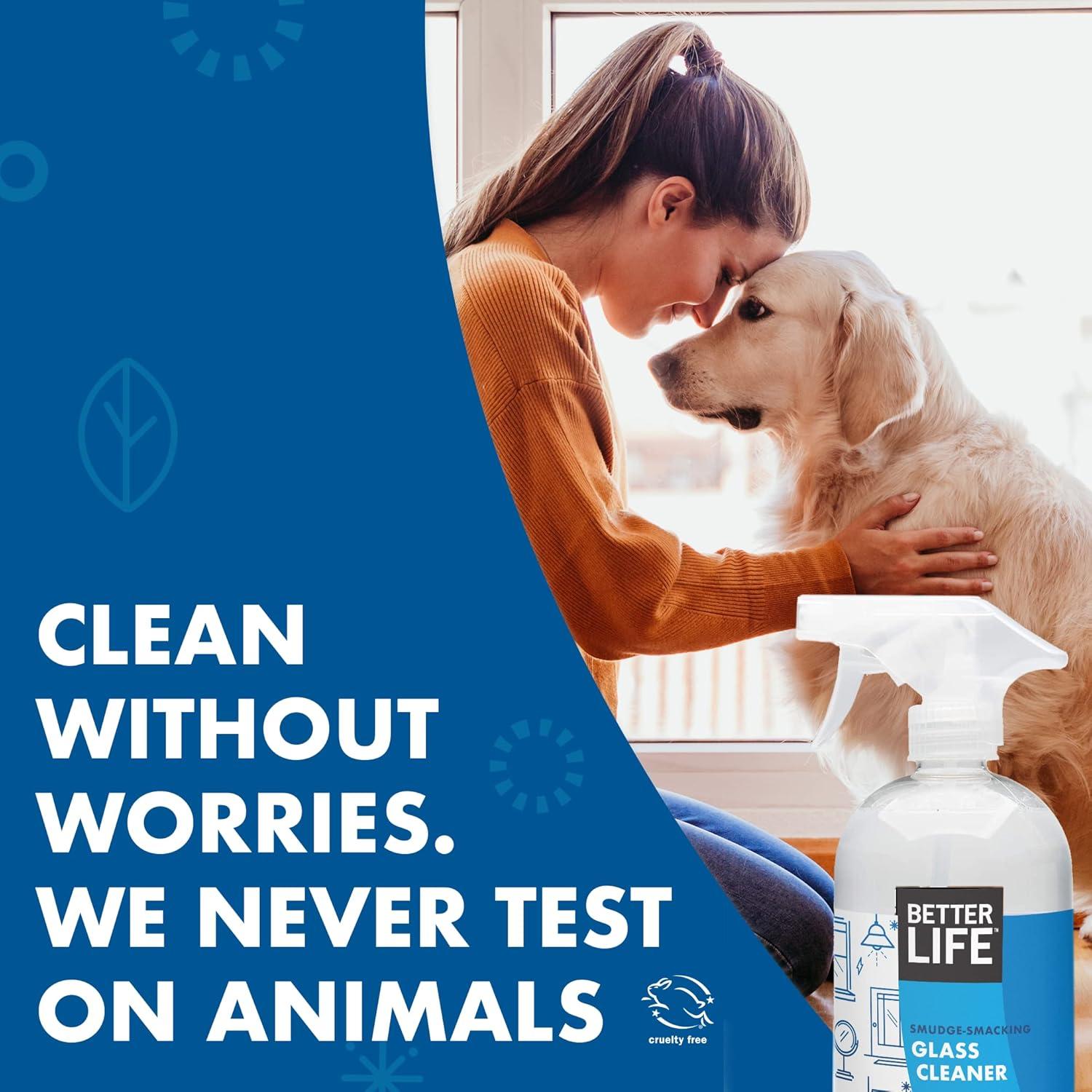 Limpiador de Vidrios Better Life 0.95 L Sin Rayas