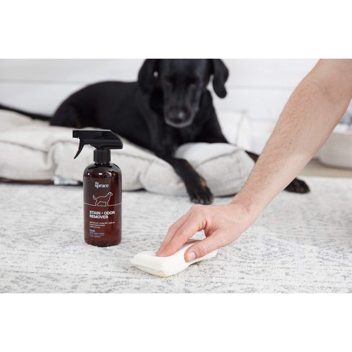 Eliminador de Manchas y Olores The Spruce 482.8 ml Enzimas Naturales
