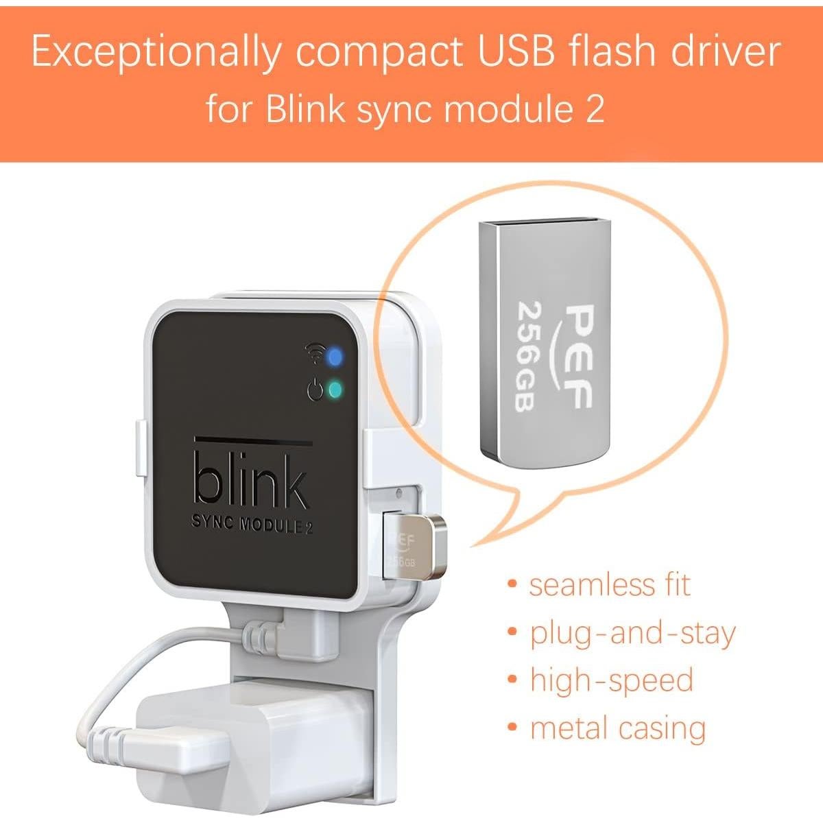 Unidad Flash USB 256GB PEF + Soporte Módulo Blink 2