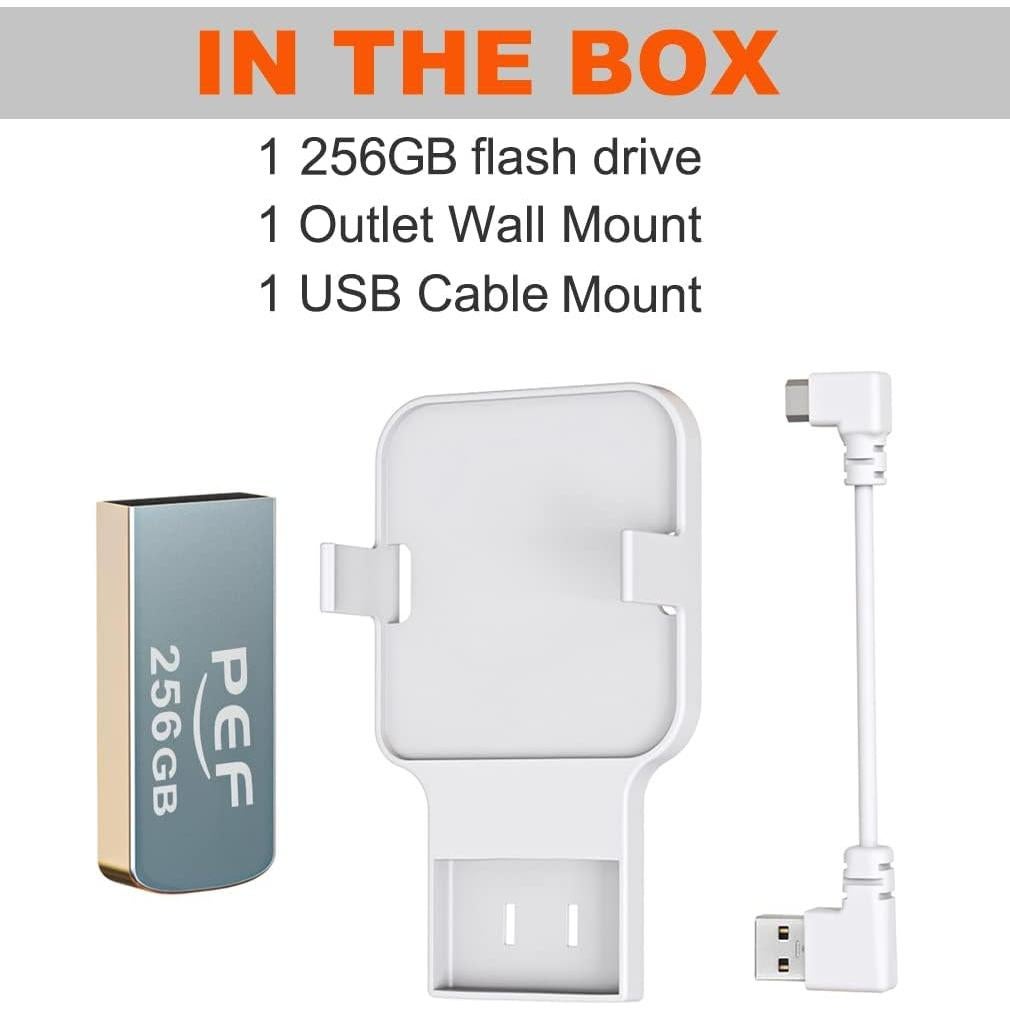 Unidad Flash USB 256GB PEF + Soporte Módulo Blink 2