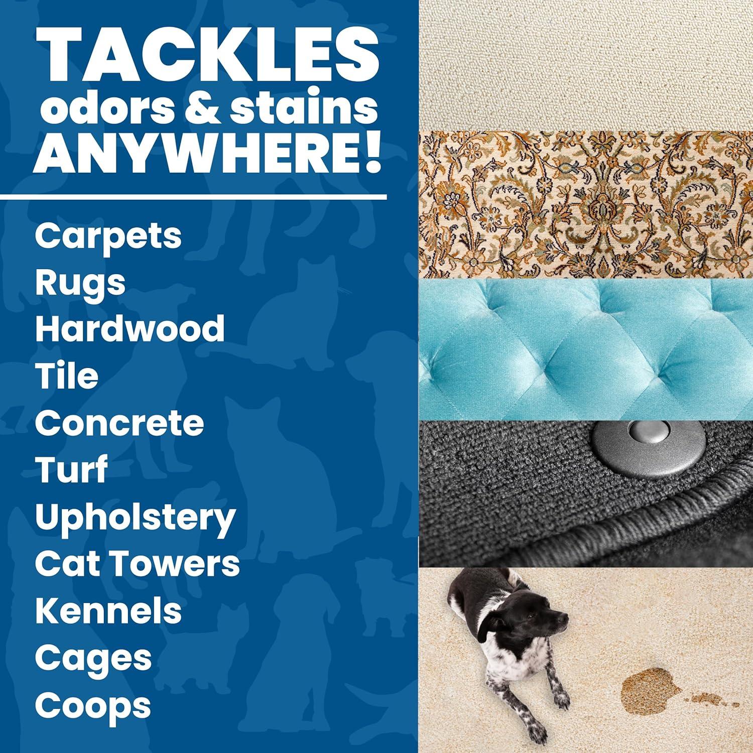 Champú para Alfombras Unique 32 oz - Eliminador de Manchas y Olores