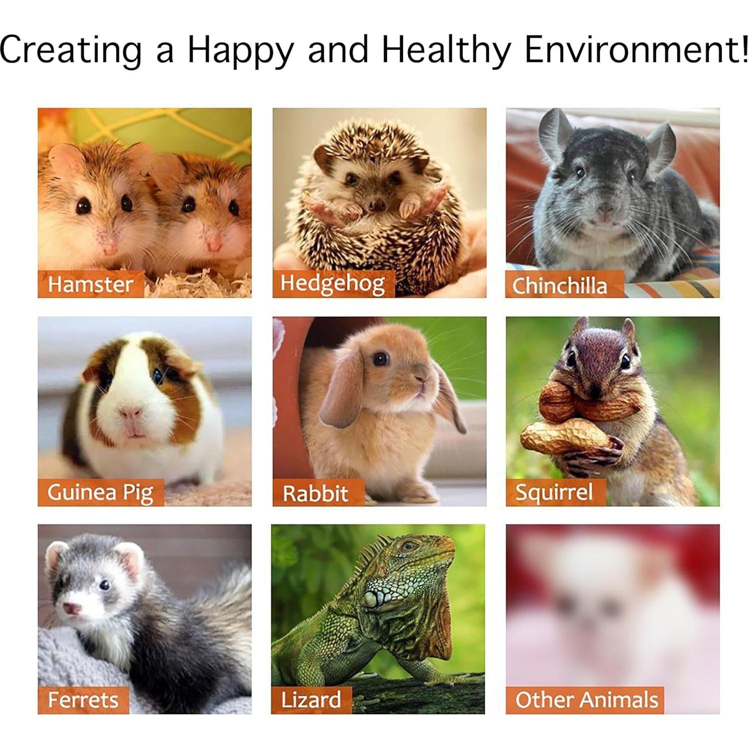 Juego de Recogedor y Escoba Travel Ez para Mascotas Pequeñas