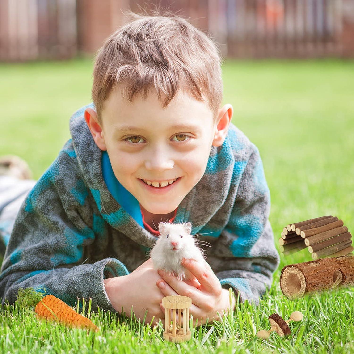 Kit de Juguetes Masticables para Hámster Sofier - Natural y Seguro