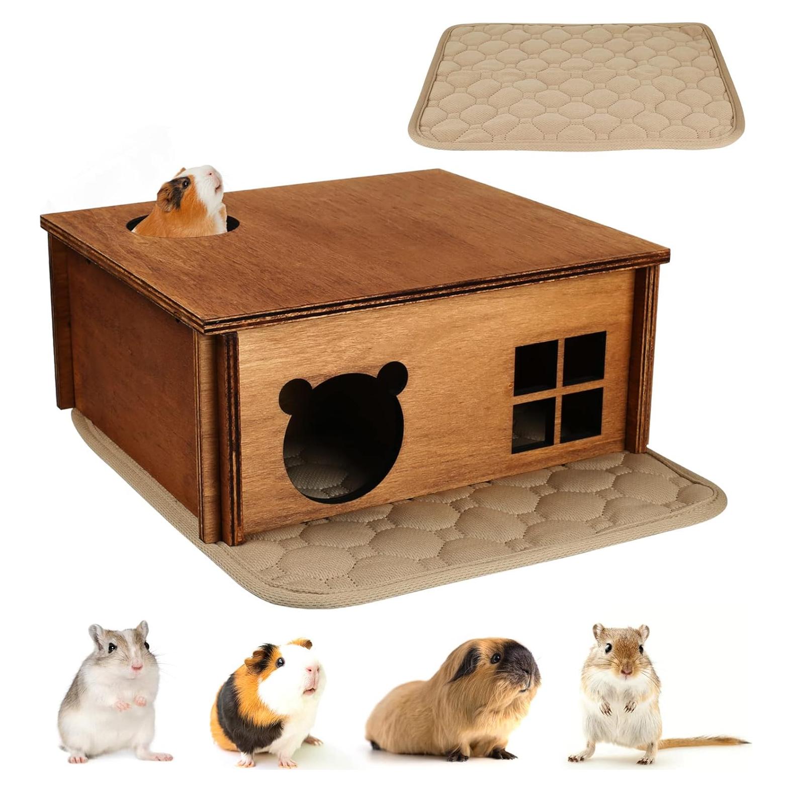 Escondite Laberinto Multi Cámara WHEARTED para Hámster 30cm