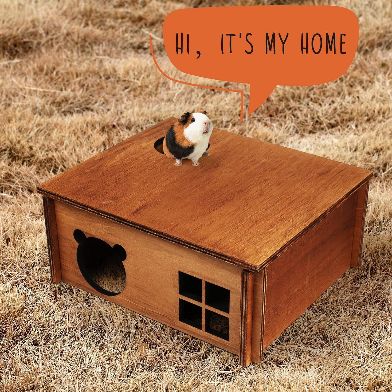 Escondite Laberinto Multi Cámara WHEARTED para Hámster 30cm