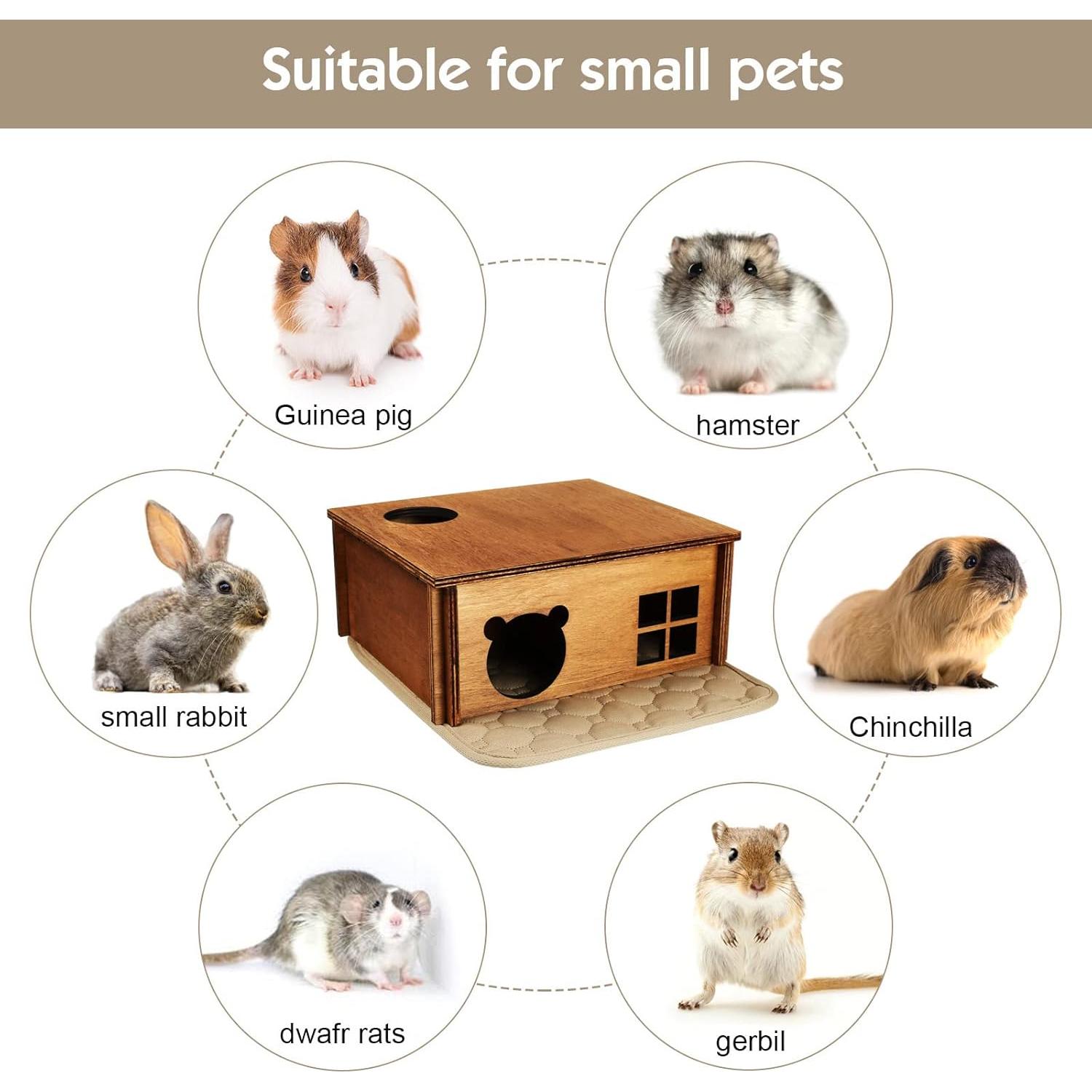 Escondite Laberinto Multi Cámara WHEARTED para Hámster 30cm