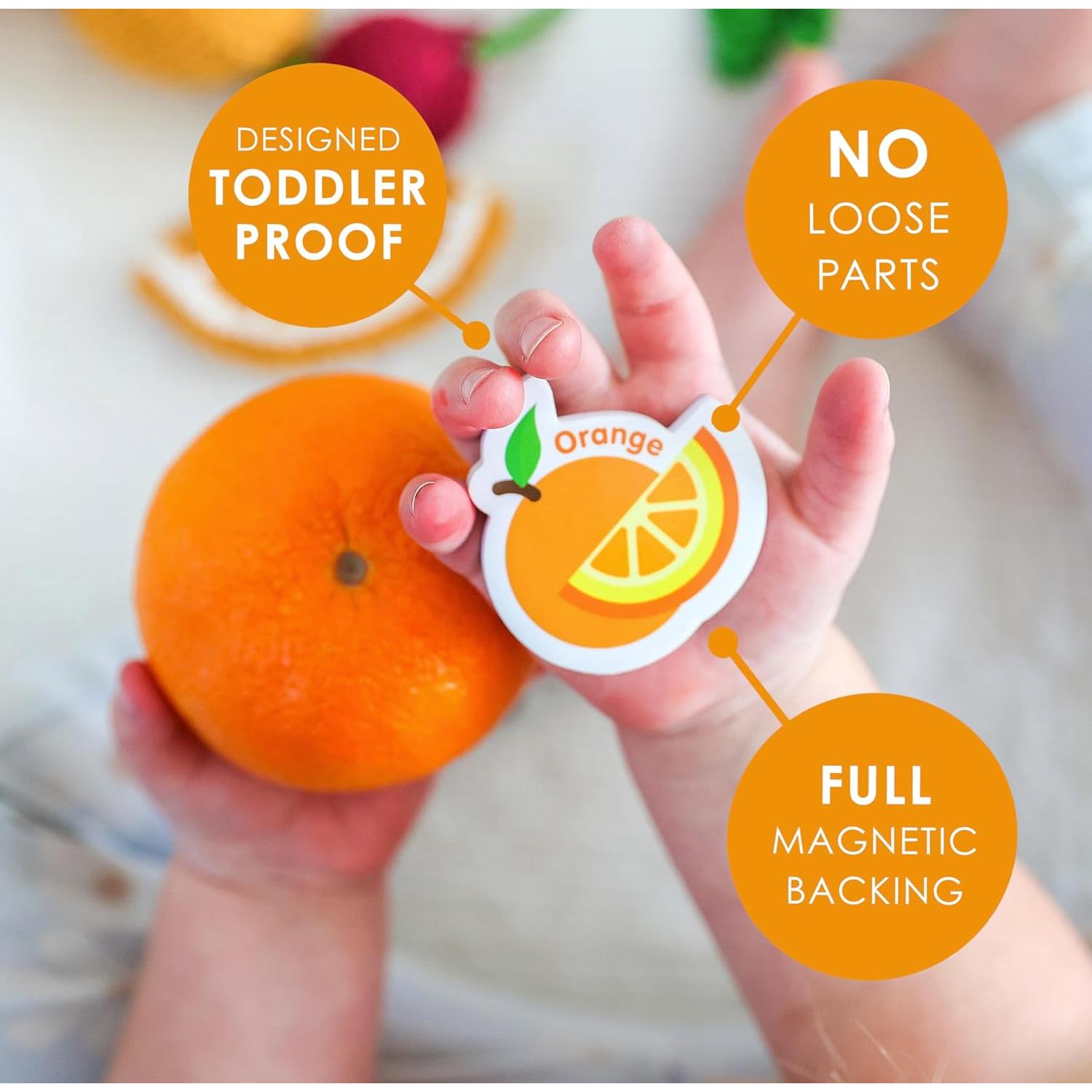 Imanes Educativos para Niños Curious Columbus - Set de 52 Piezas