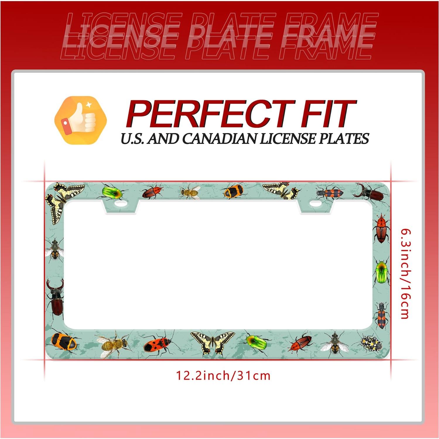 Marco de Placa de Licencia Personalizado Invincibleframe 31x16 cm