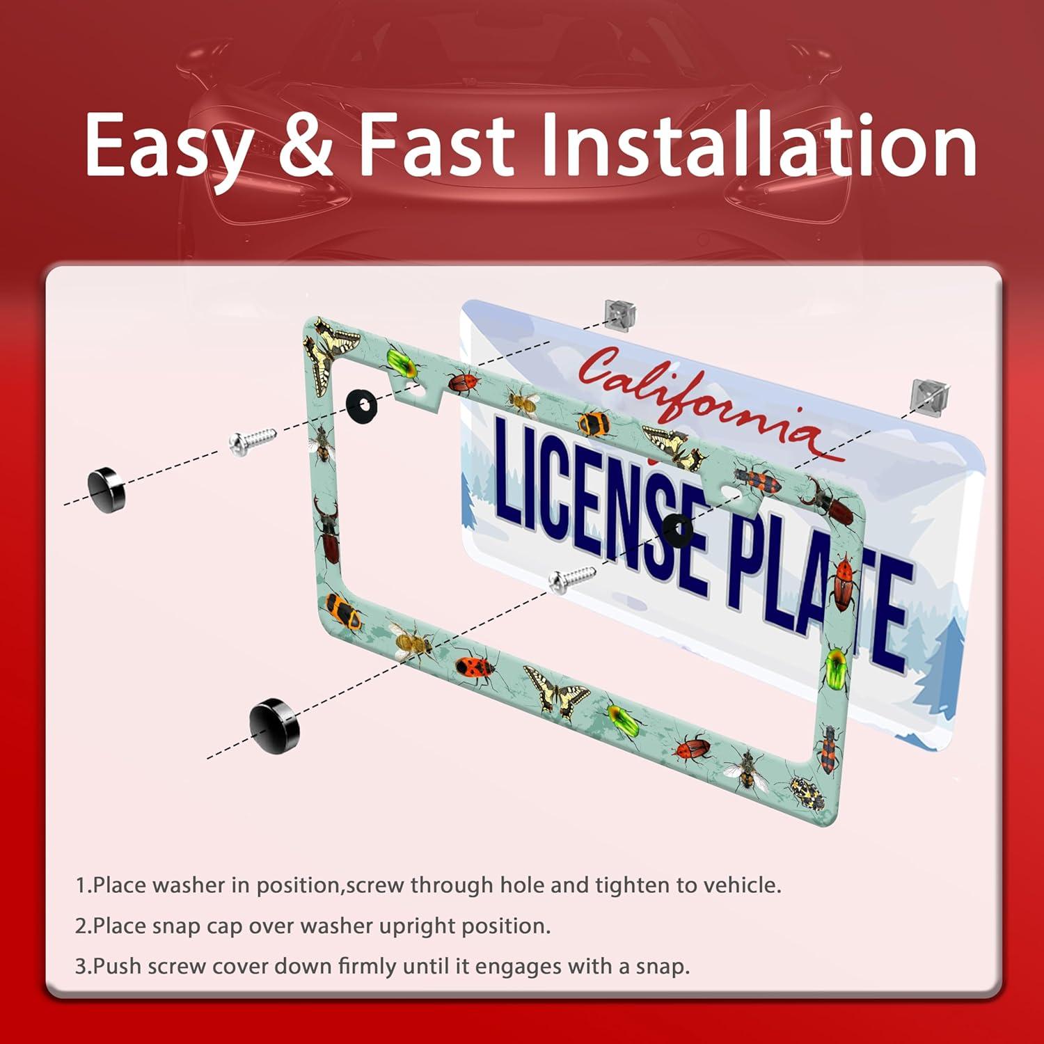 Marco de Placa de Licencia Personalizado Invincibleframe 31x16 cm