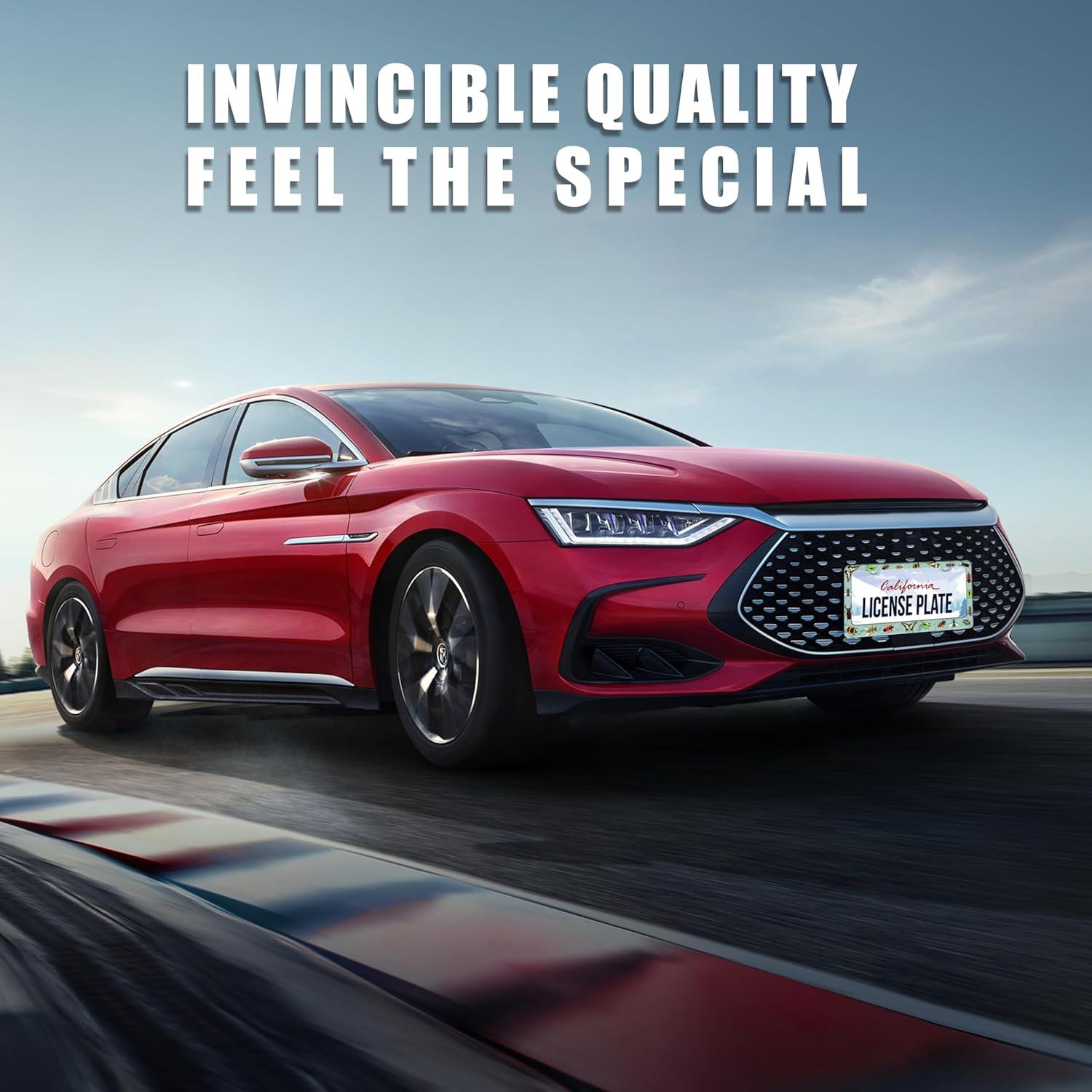 Marco de Placa de Licencia Personalizado Invincibleframe 31x16 cm