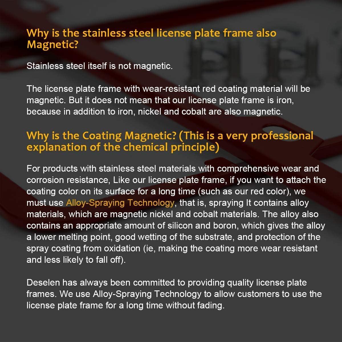 Marco de Placa de Licencia Deselen Blanco Acero Inoxidable 2 Pzas