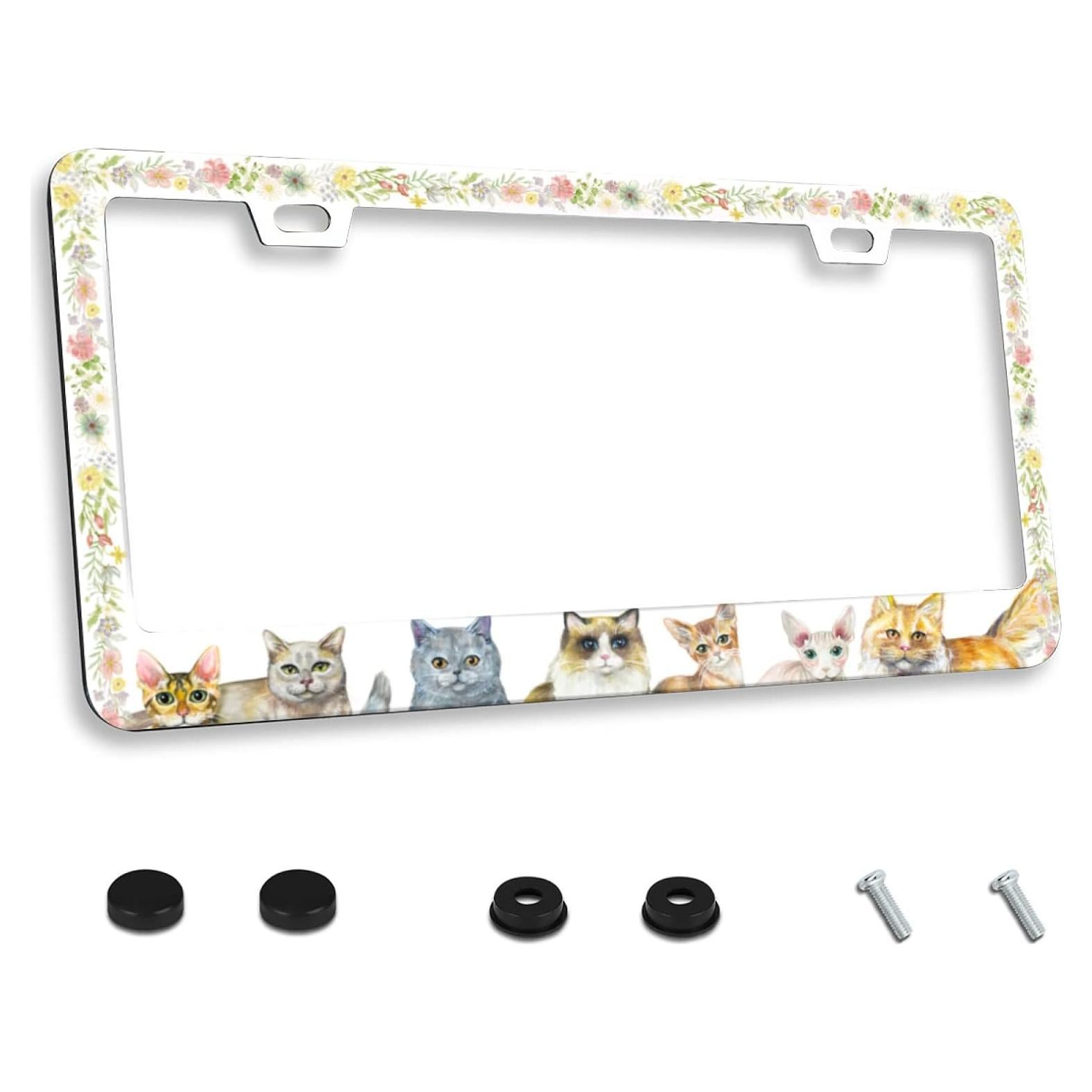 Marco de Placa de Licencia Acero Inoxidable Invincibleframe 30.99x16cm