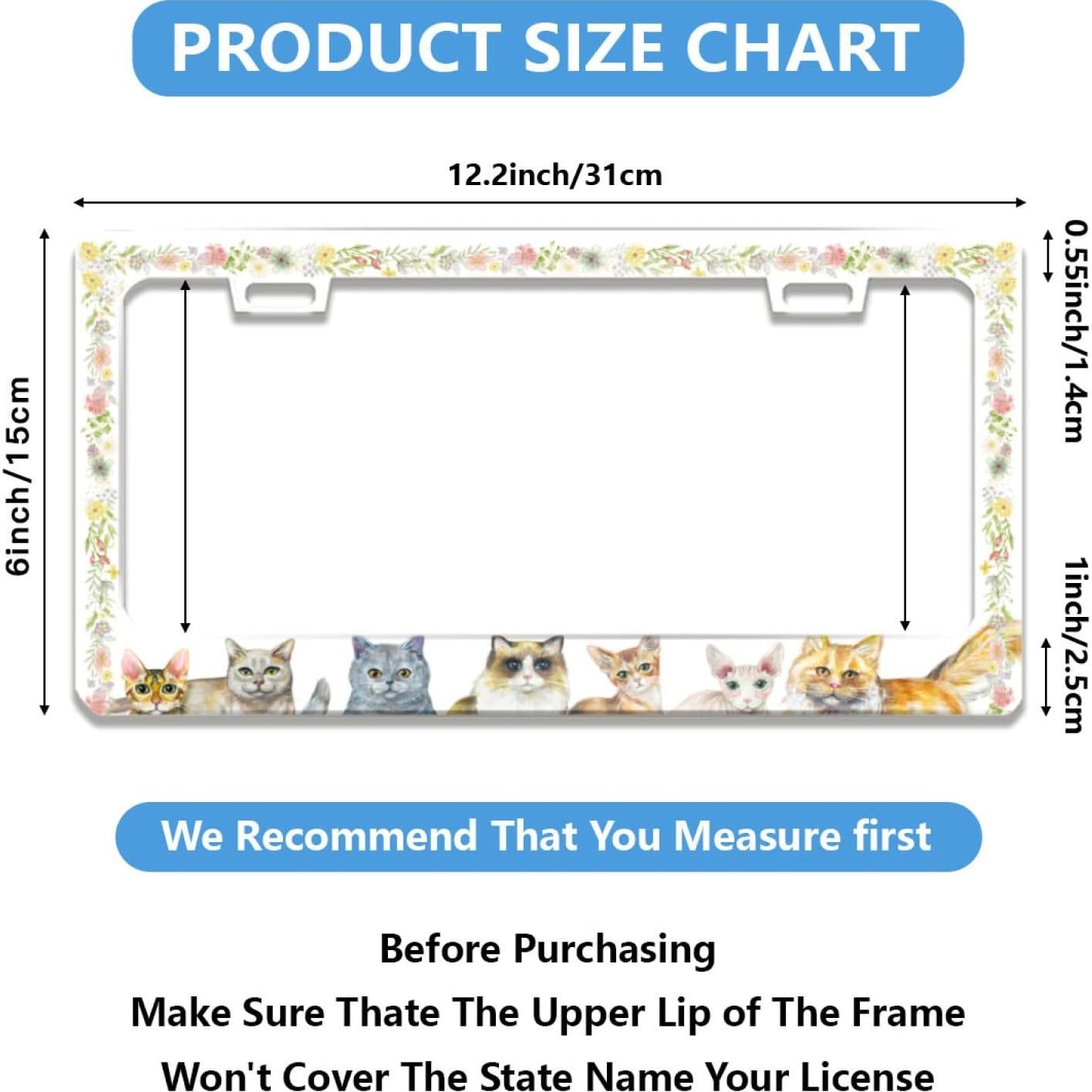 Marco de Placa de Licencia Acero Inoxidable Invincibleframe 30.99x16cm