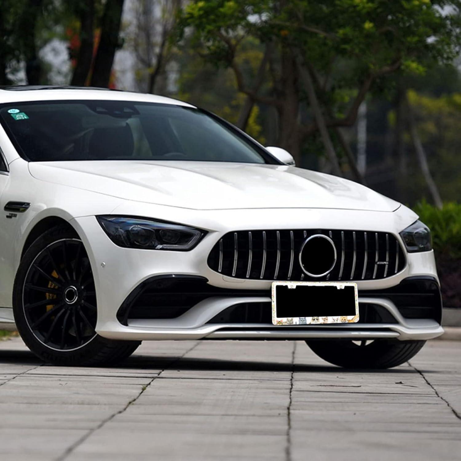 Marco de Placa de Licencia Acero Inoxidable Invincibleframe 30.99x16cm