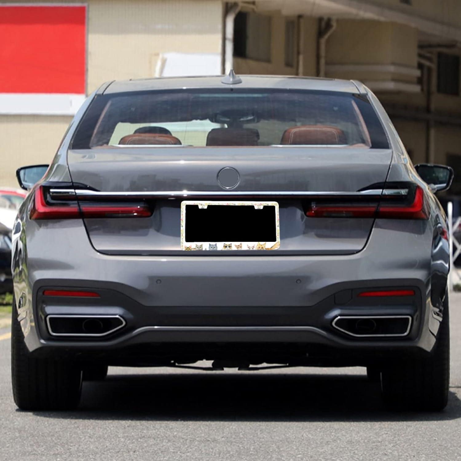 Marco de Placa de Licencia Acero Inoxidable Invincibleframe 30.99x16cm