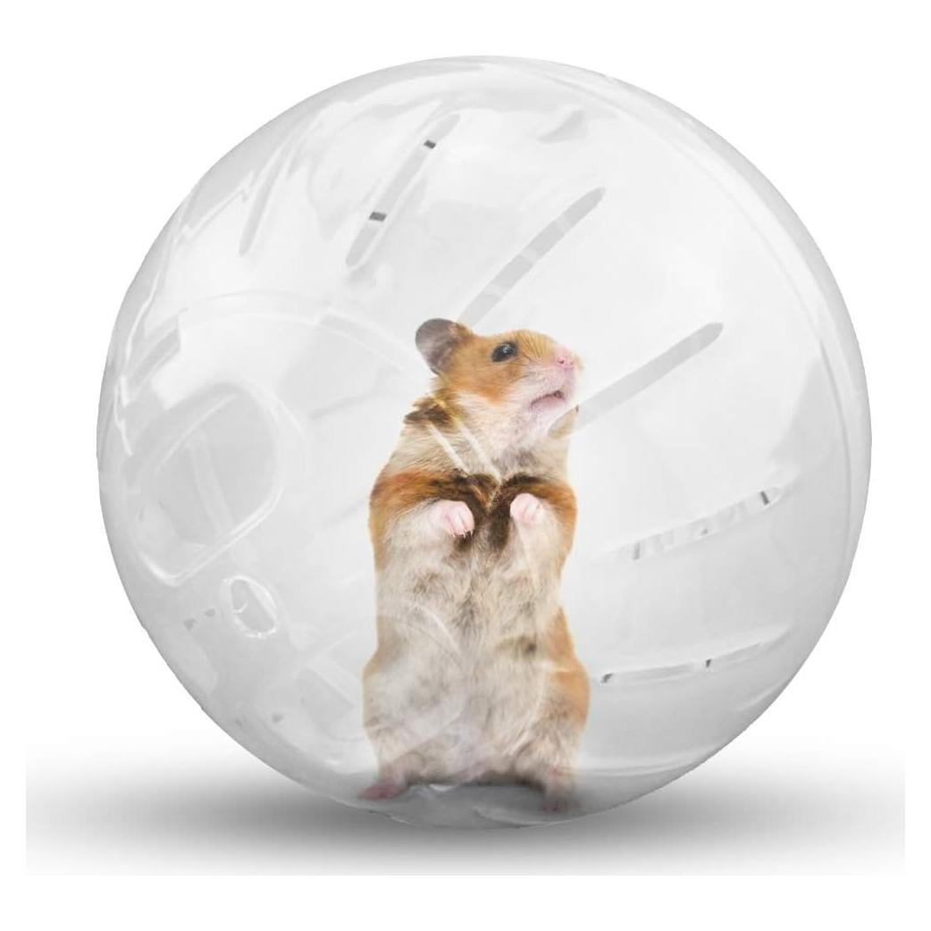 Bola de Ejercicio para Hámster CHUQIANTONG 12.19 cm Transparente