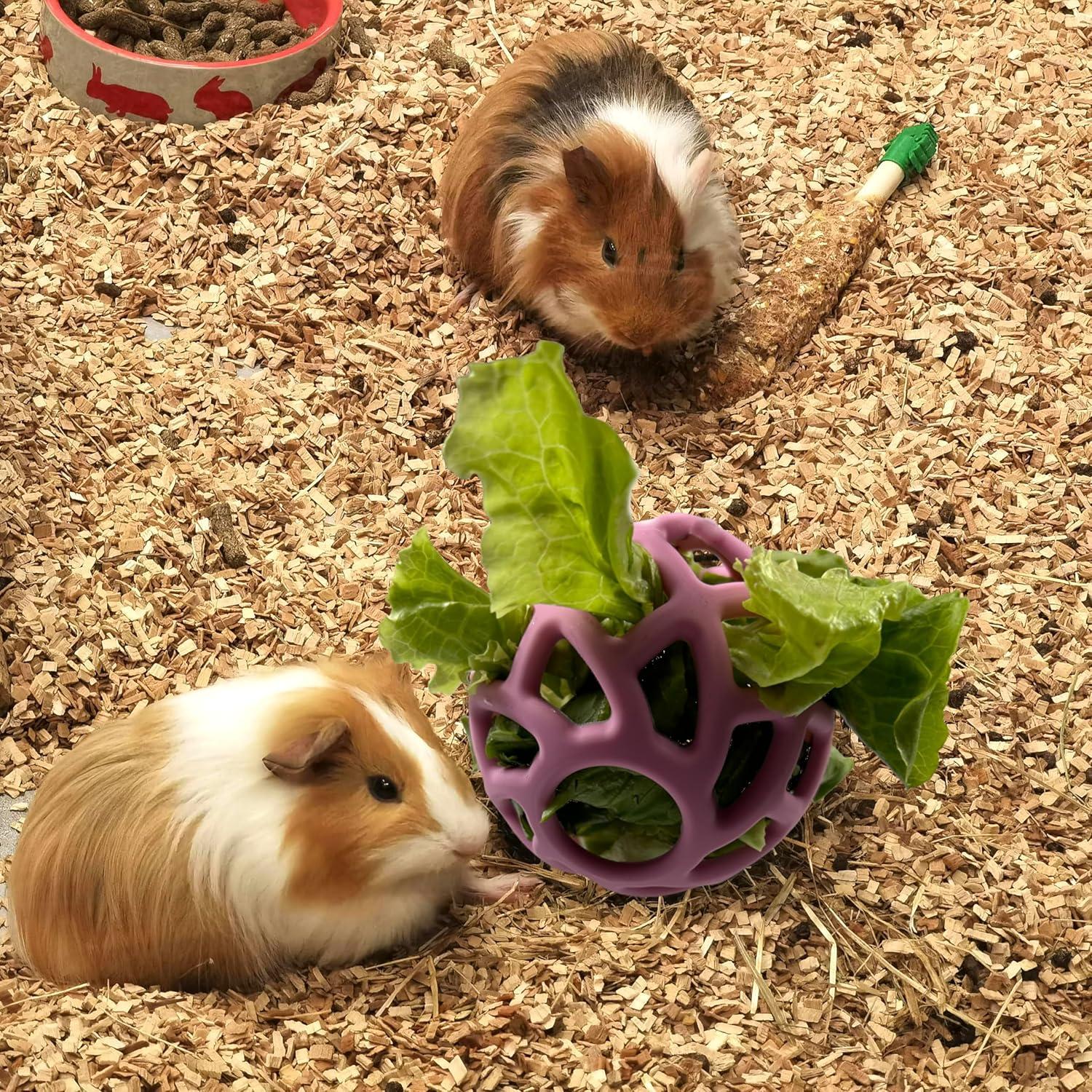 Hamaca para Cobayas y Hámsters Homedy Crafts Rosa 35.1x35.1cm