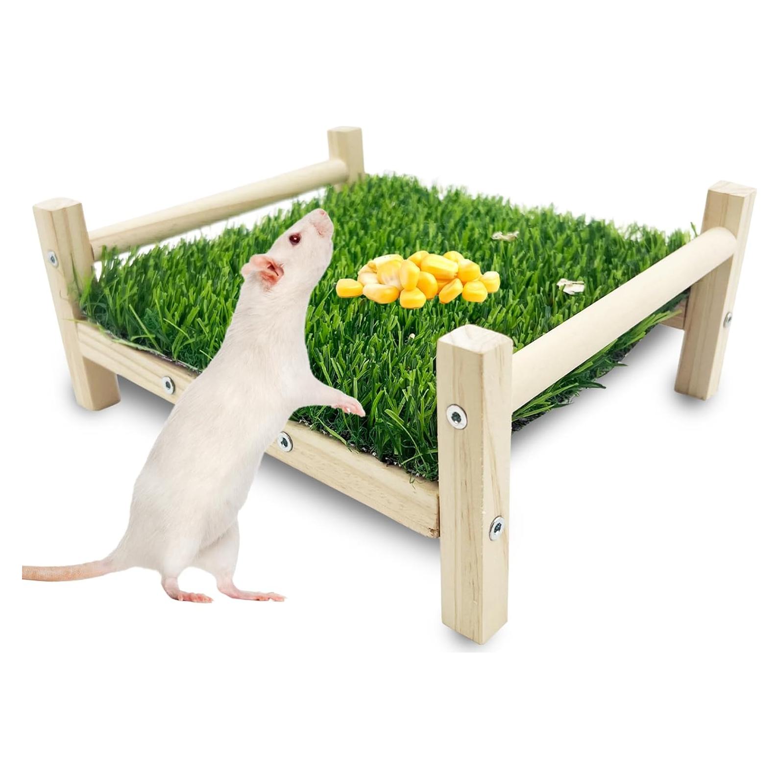 Juguete de Forrajeo para Ratas FlidRunest - Madera y Hierba 23.1x19.8cm