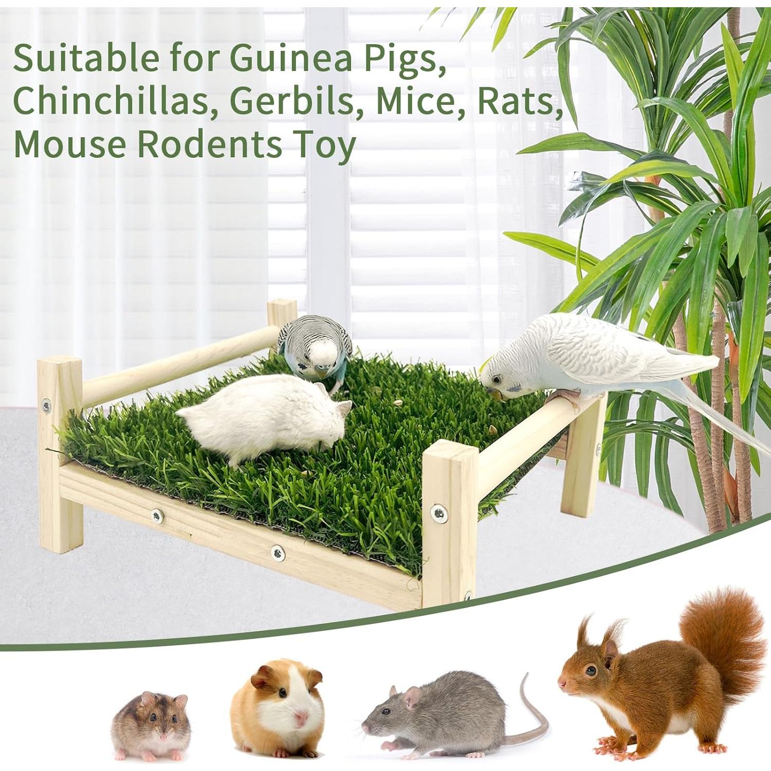Juguete de Forrajeo para Ratas FlidRunest - Madera y Hierba 23.1x19.8cm