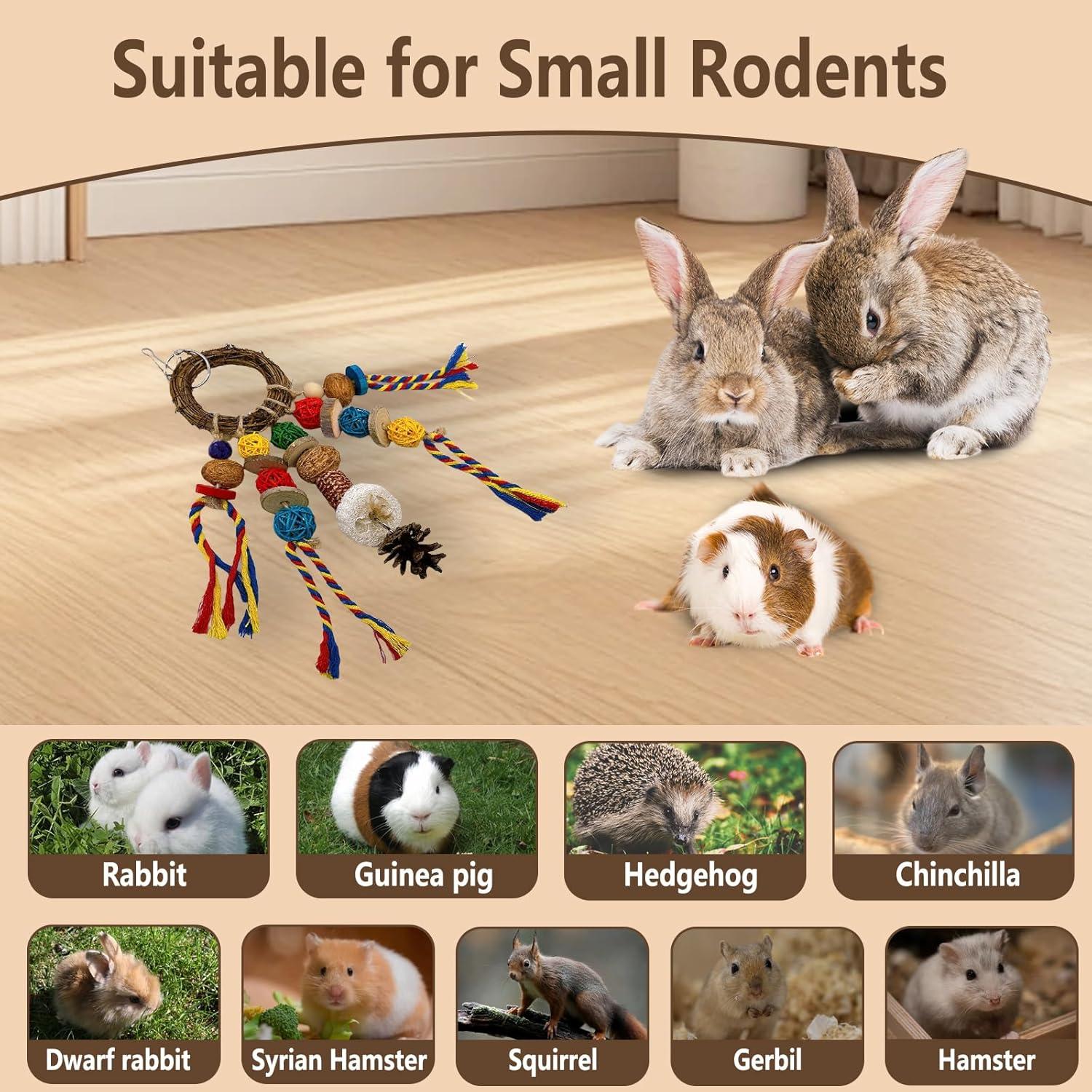 Juguetes Masticables para Roedores Acsist 2PCS Naturales