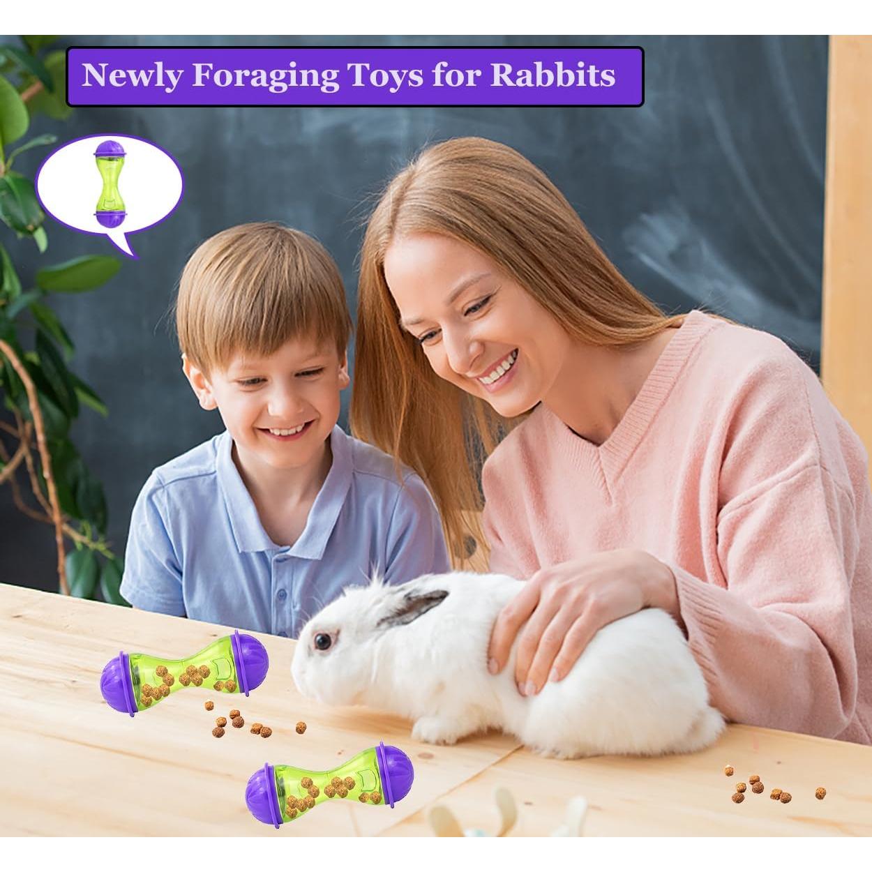 2 Piezas Juguetes Interactivos para Conejos HZAKXIN - Alimentador Lento