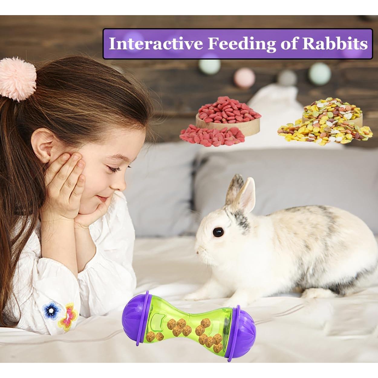 2 Piezas Juguetes Interactivos para Conejos HZAKXIN - Alimentador Lento