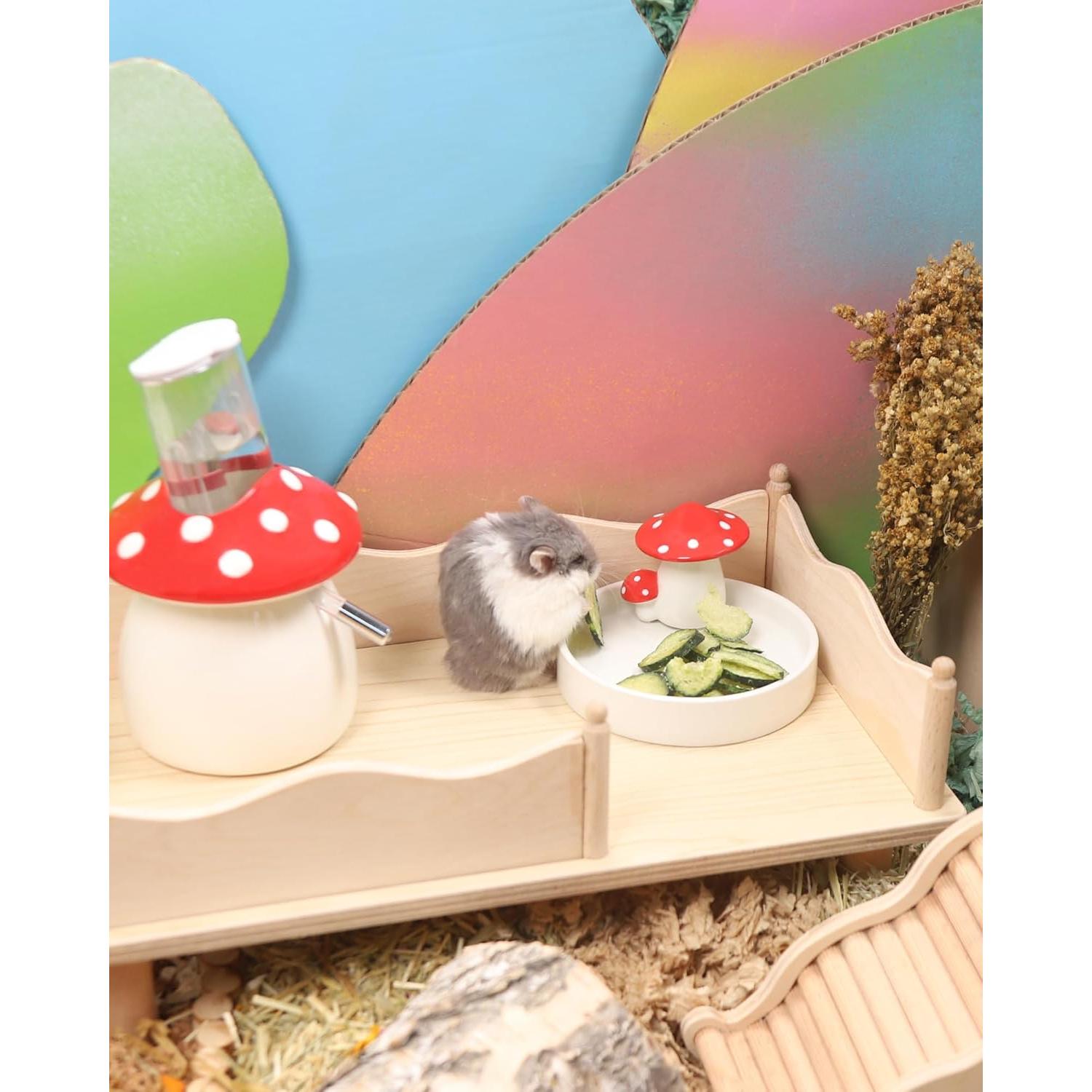 Snack para Hámster Niteangel - Pepinos Liofilizados 59g