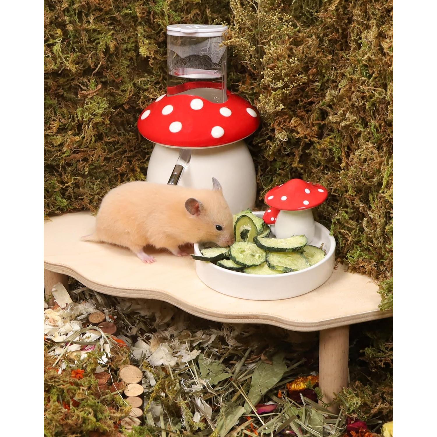 Snack para Hámster Niteangel - Pepinos Liofilizados 59g