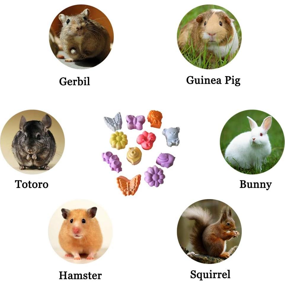 10 Piezas Bloque de Lava Natural para Roedores Hamiledyi