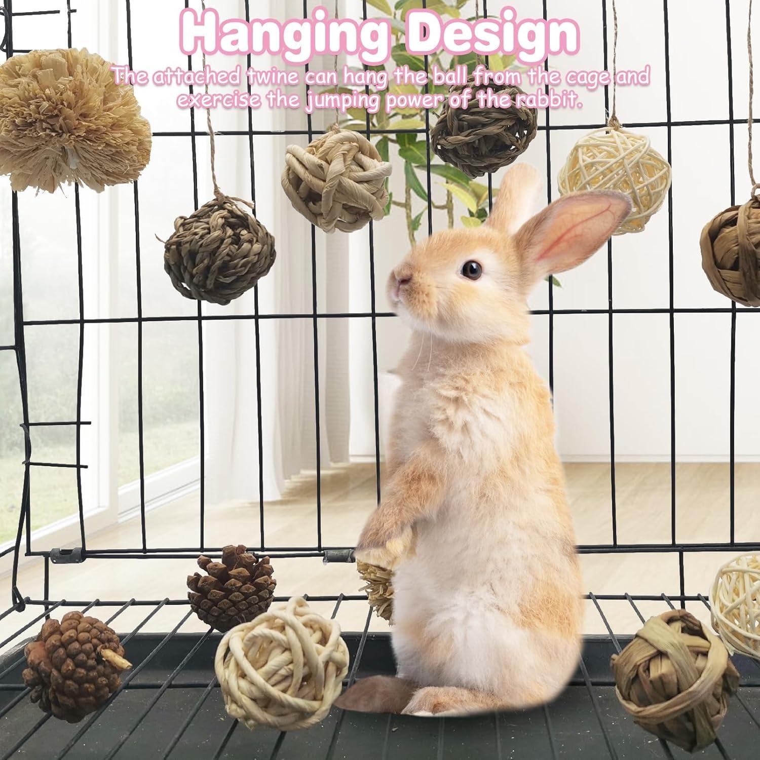 Bolas de Masticar Naturales Kathson para Conejos - 12 Piezas