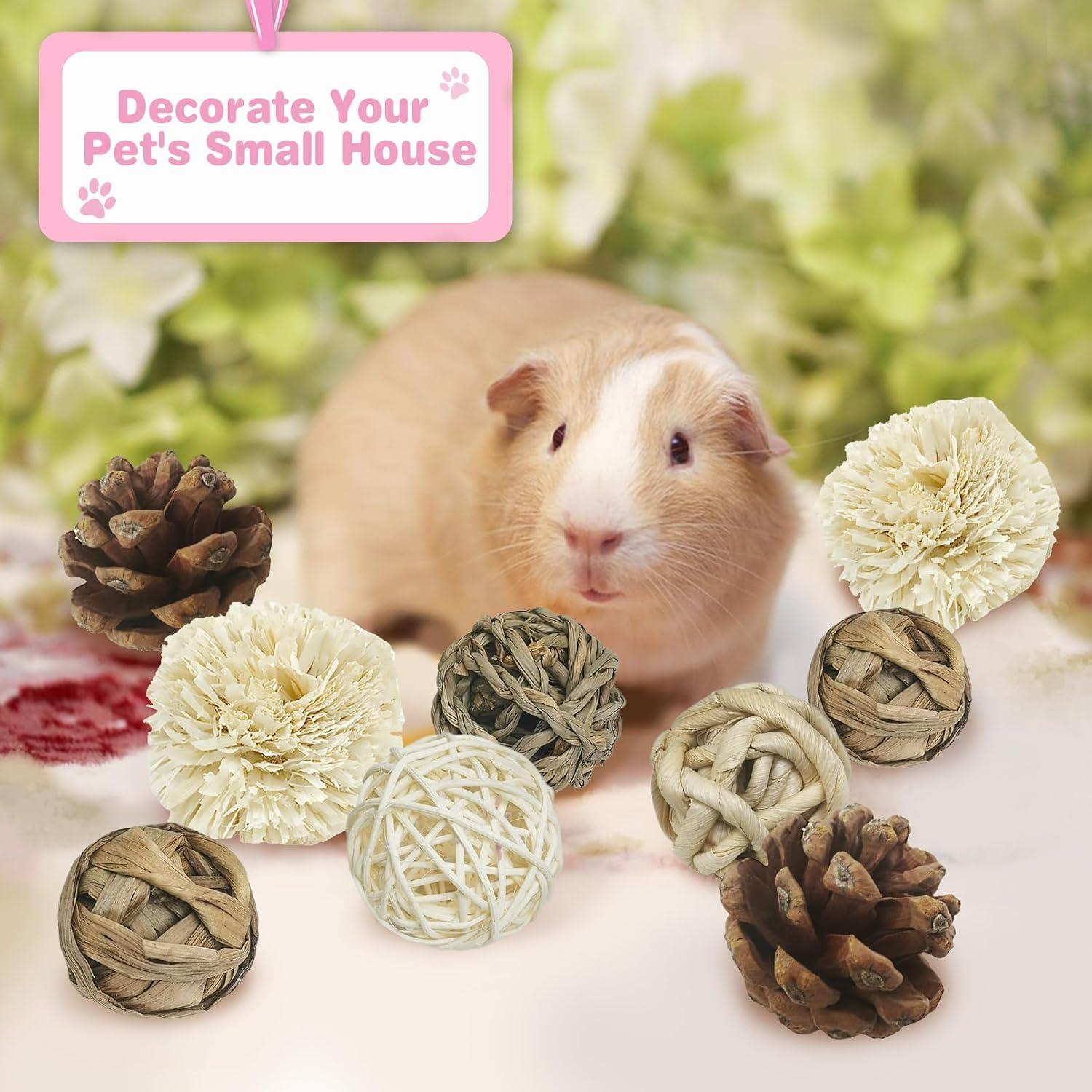 Bolas de Masticar Naturales Kathson para Conejos - 12 Piezas