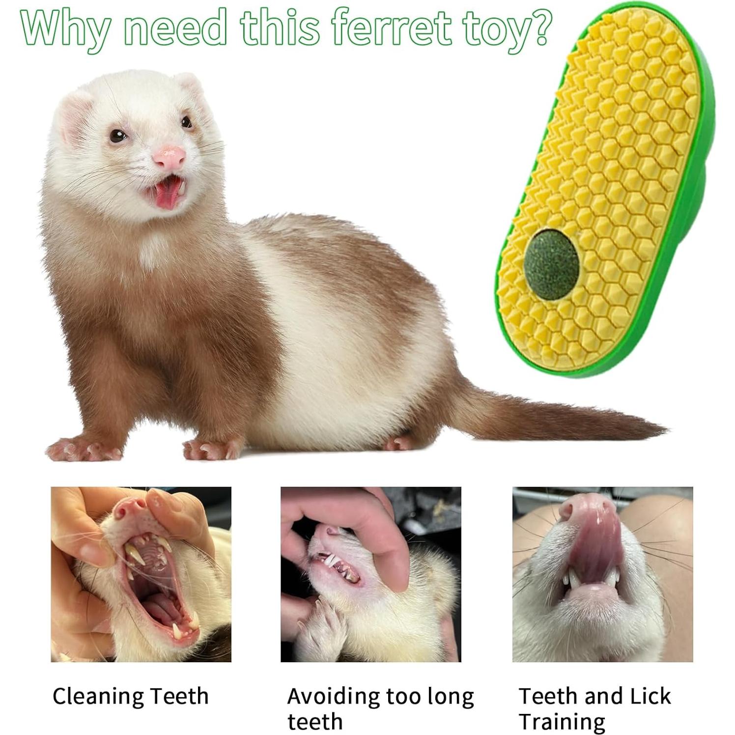 Juguete para Hurones OOYXG con Bolas de Heno - Enriquecimiento