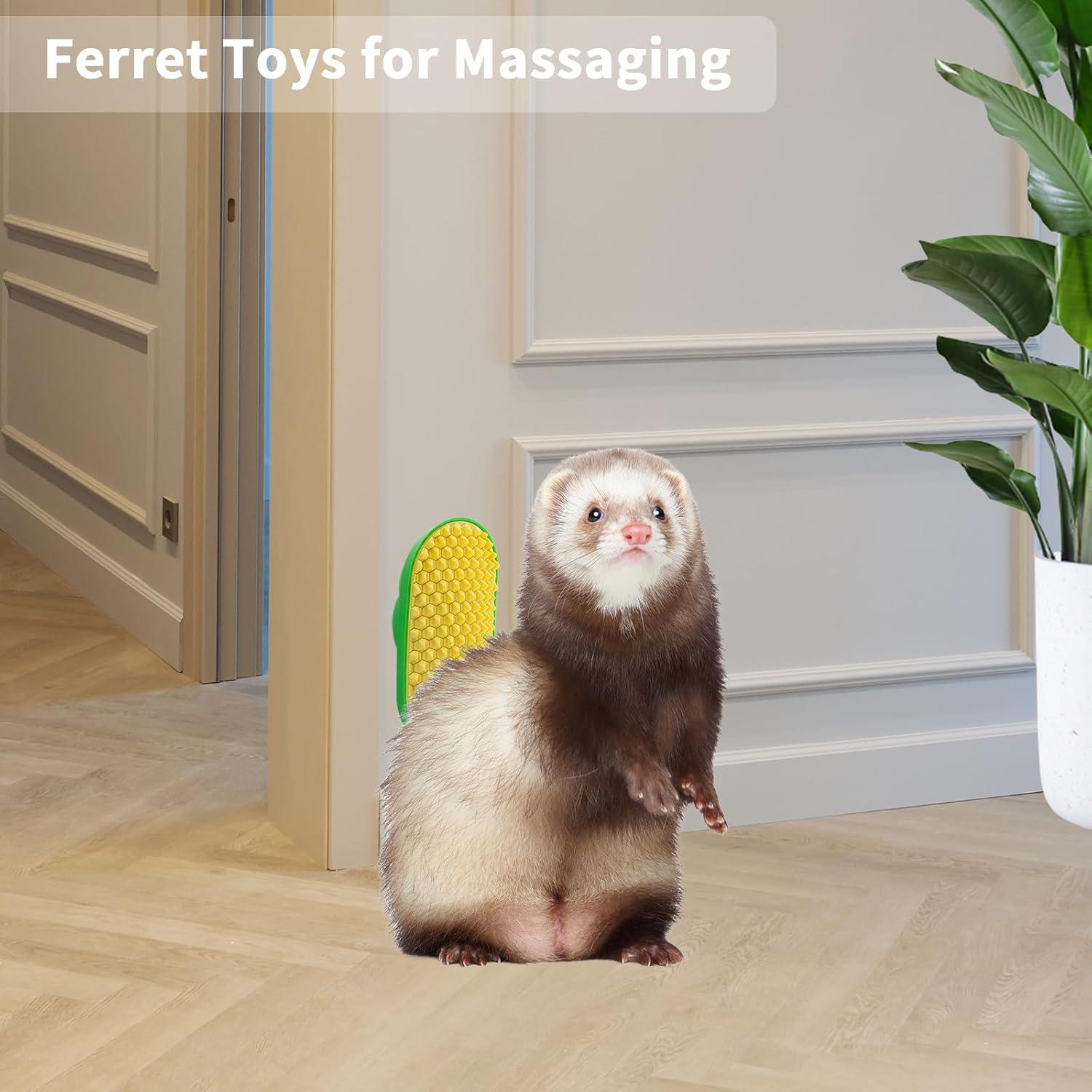 Juguete para Hurones OOYXG con Bolas de Heno - Enriquecimiento