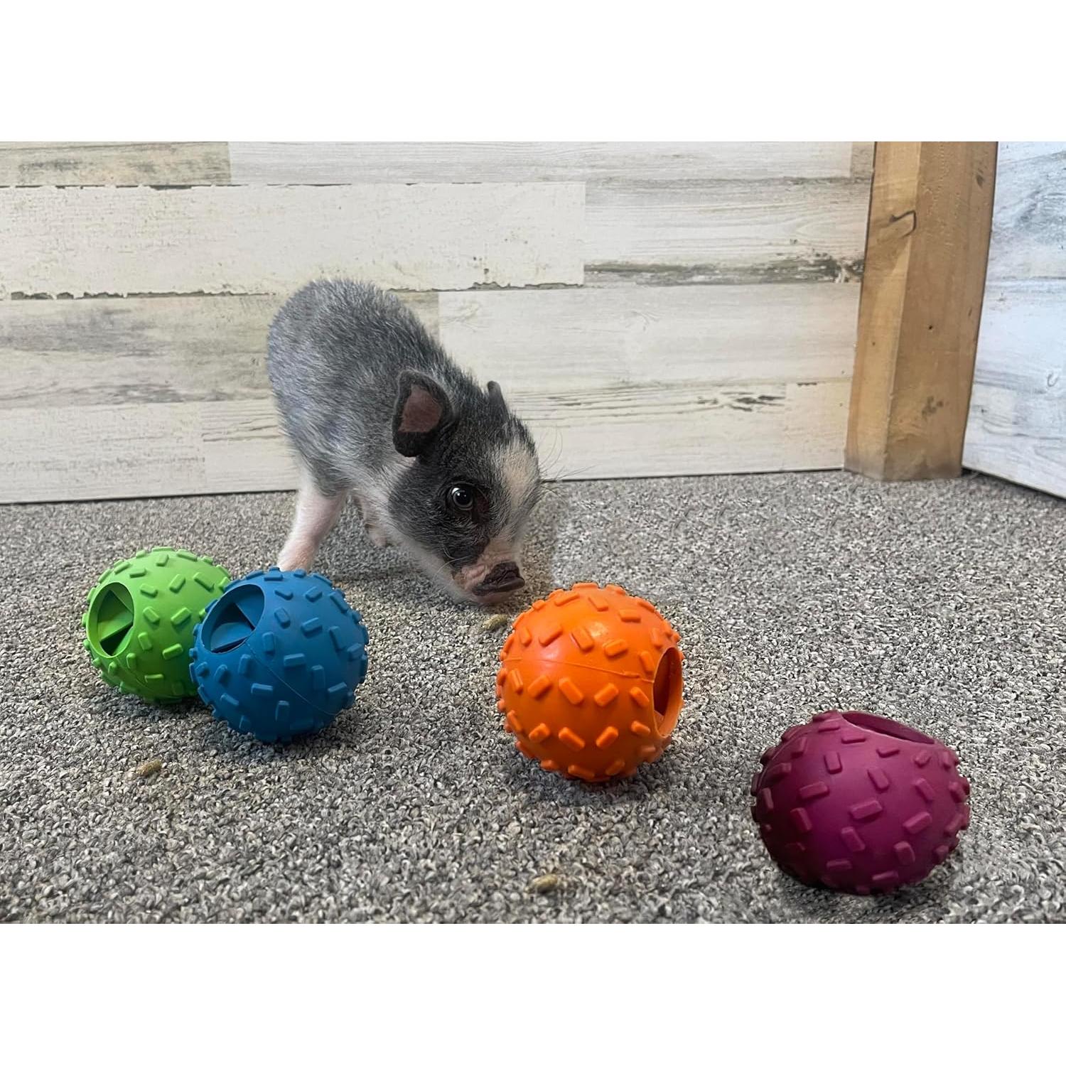 Pelota Dispensadora de Golosinas AZ Micro Mini Pigs 7.62 cm