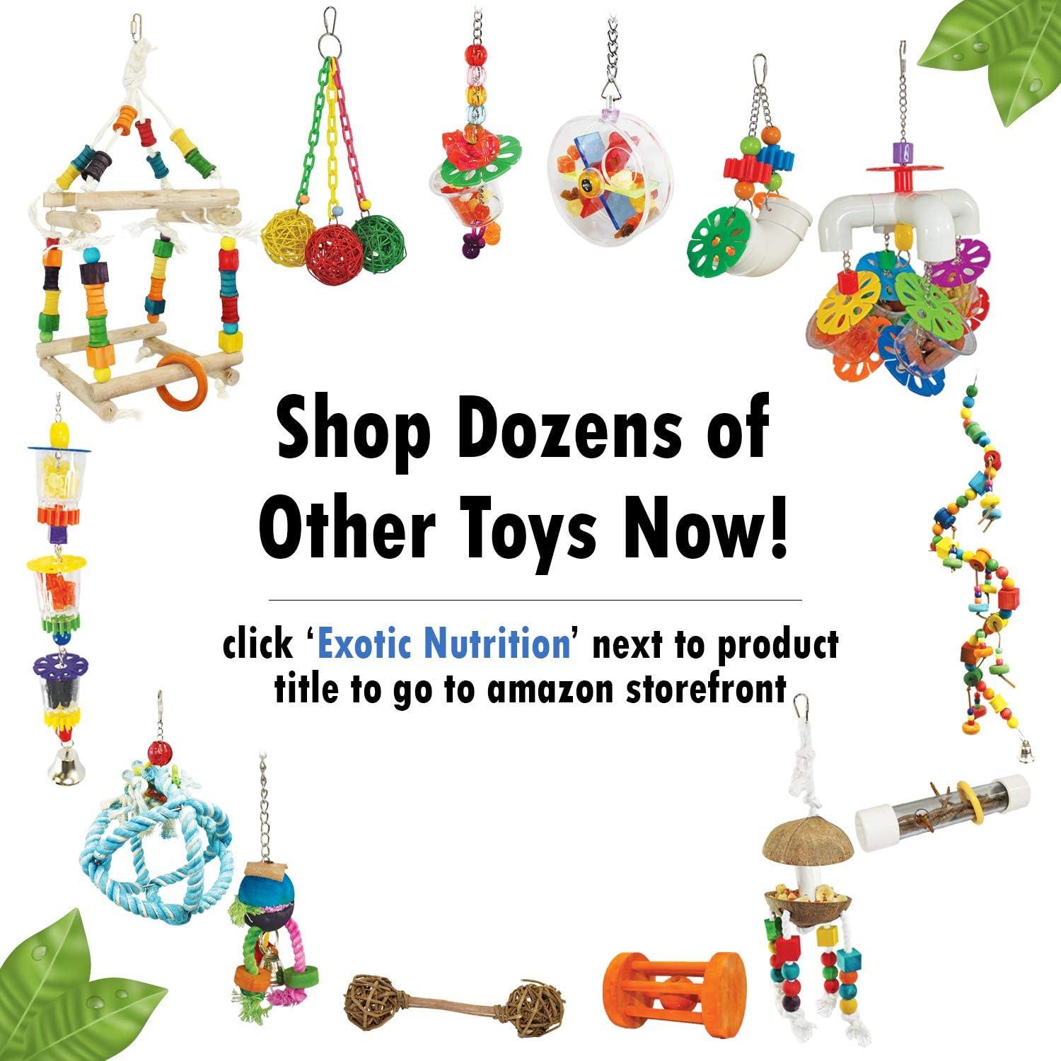 Globo de Forraje con Campana Exotic Nutrition 28 cm