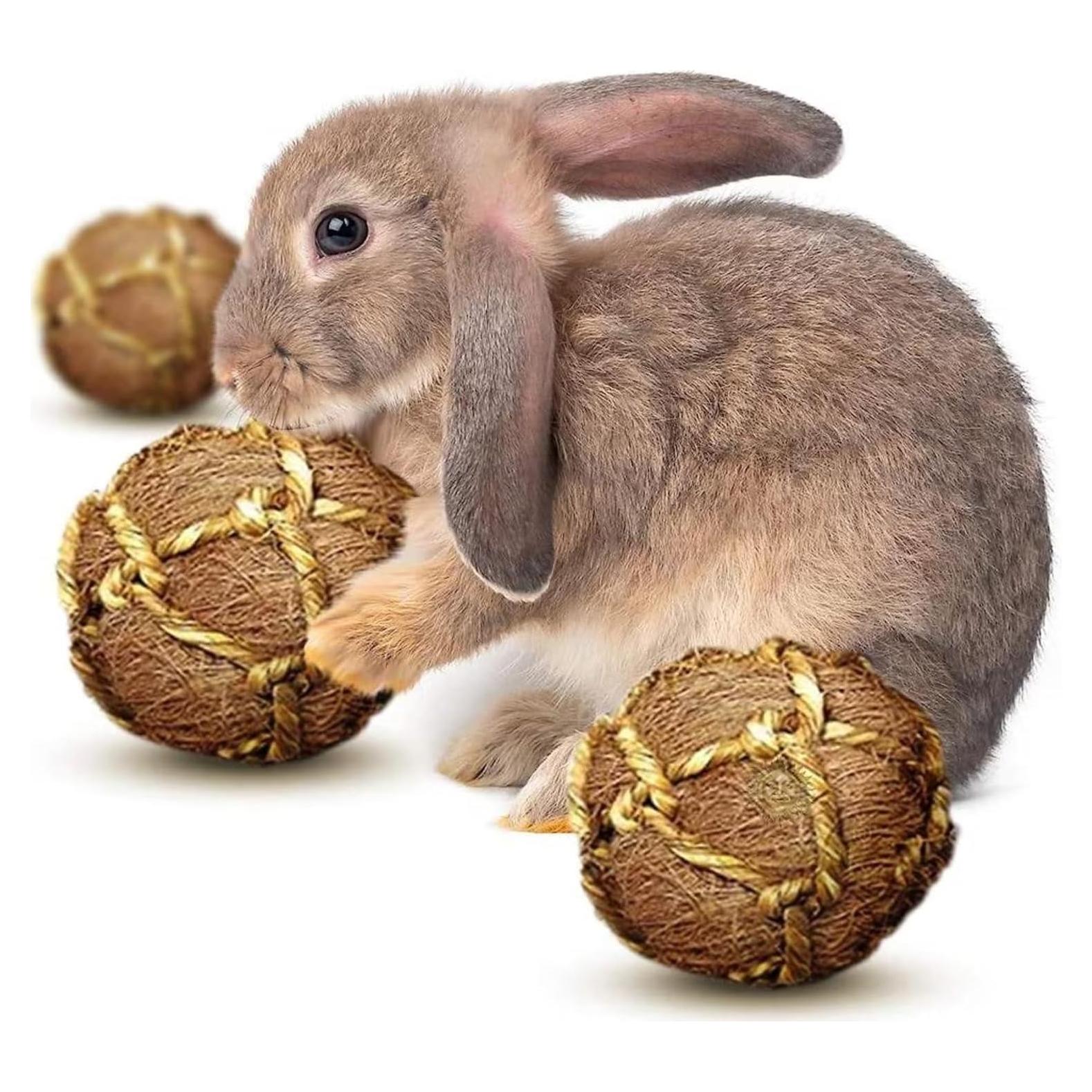 Pelotas de Coco para Conejos SunGrow - 3 Piezas, Alivio Estrés