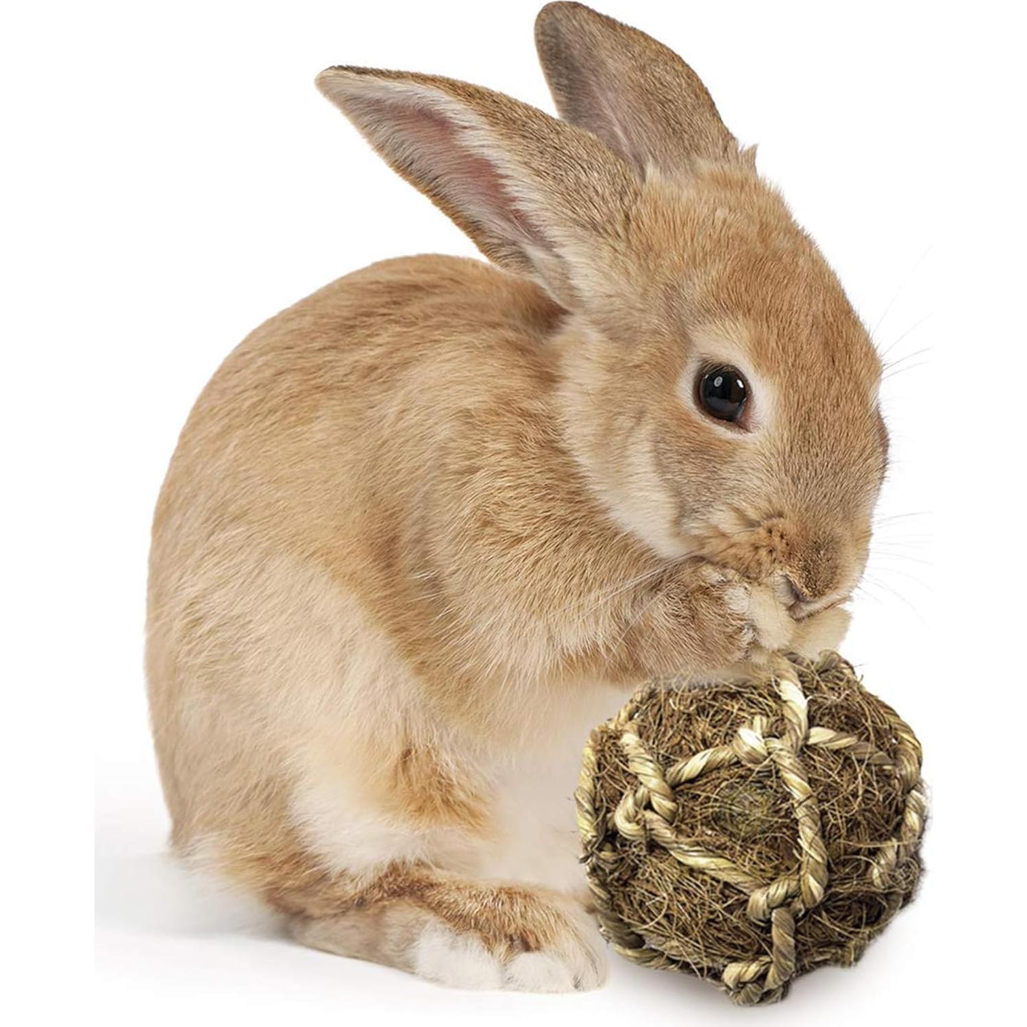 Pelotas de Coco para Conejos SunGrow - 3 Piezas, Alivio Estrés